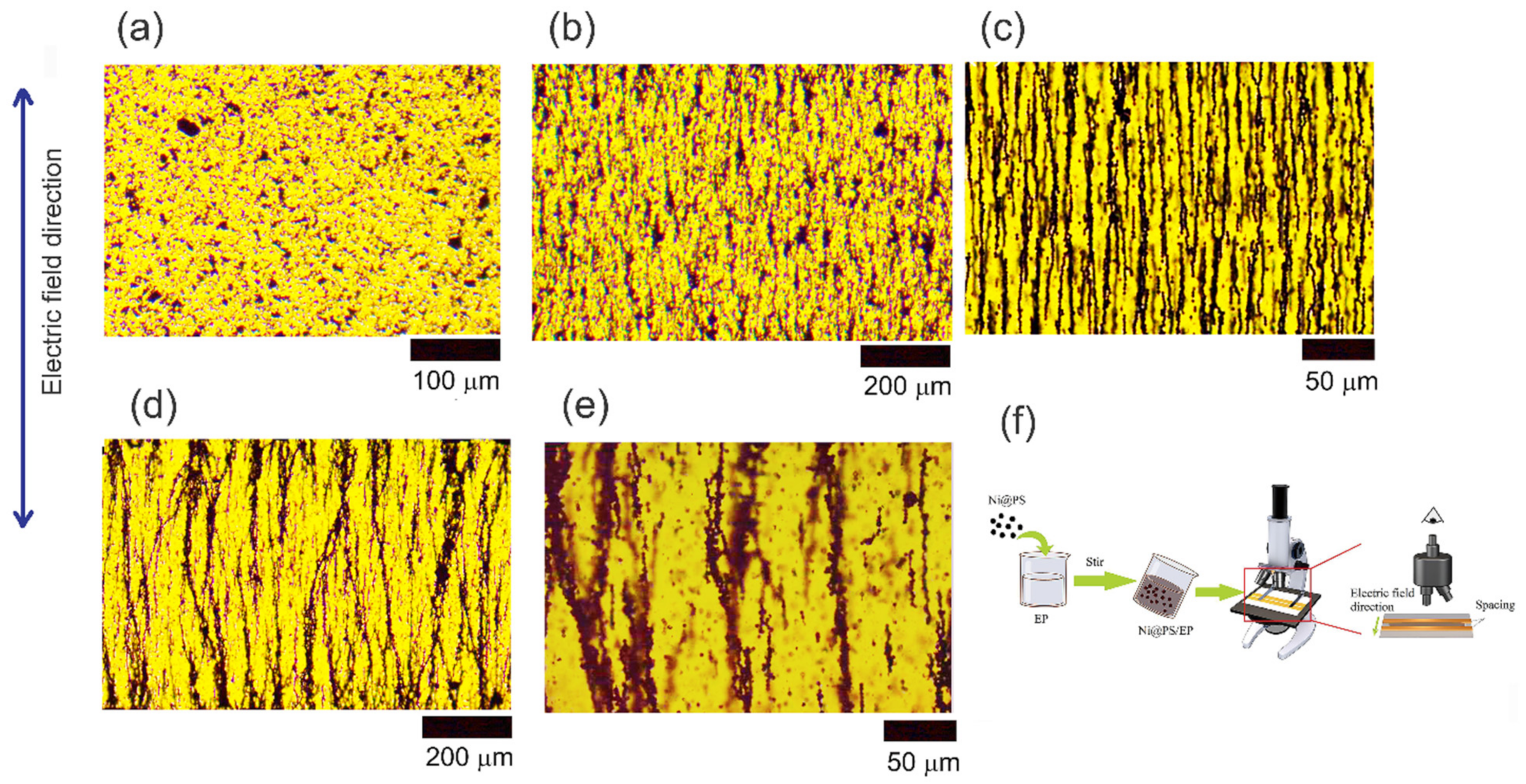 Polymers 13 03826 g004