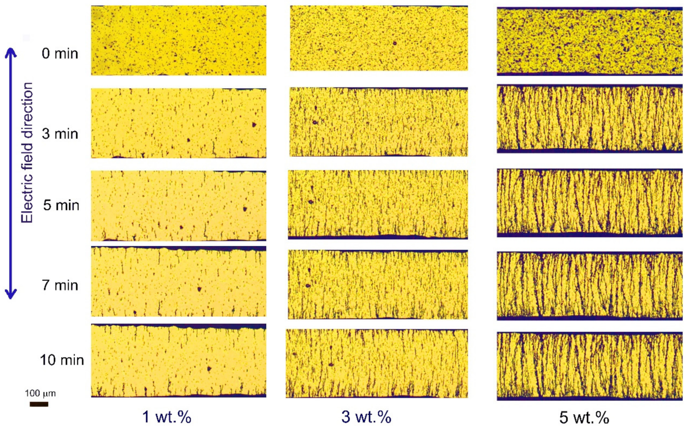 Polymers 13 03826 g005