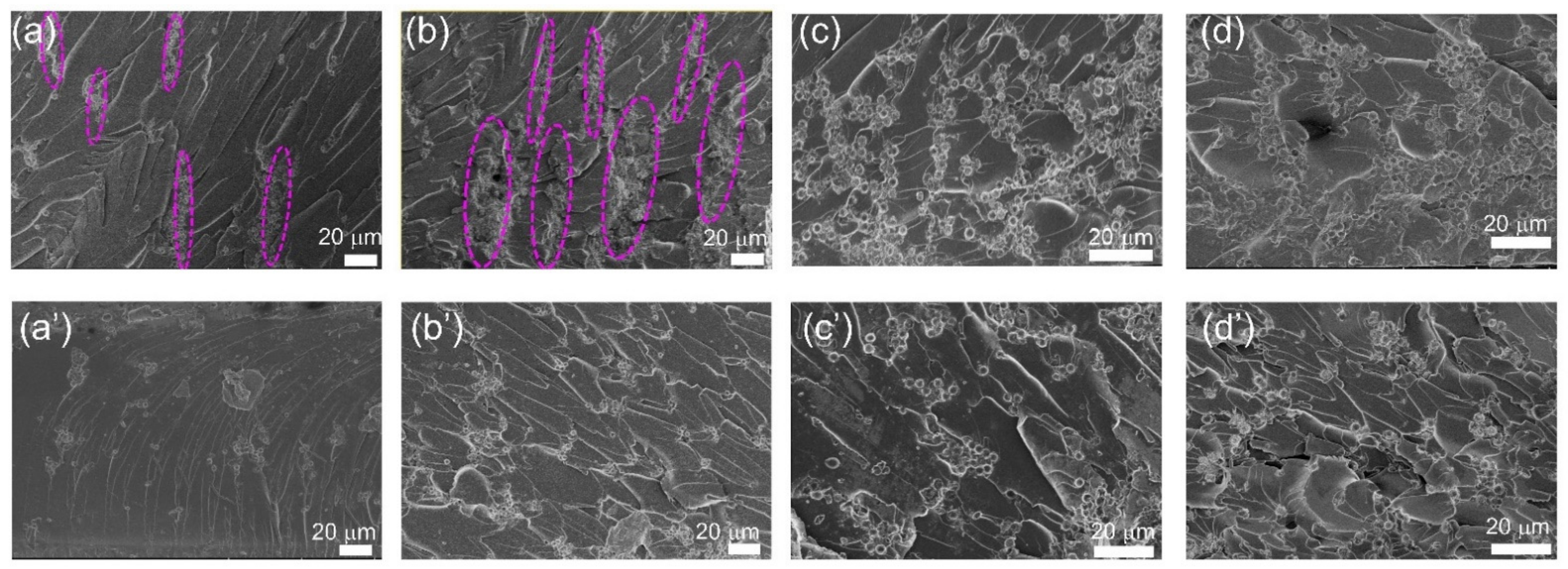 Polymers 13 03826 g008