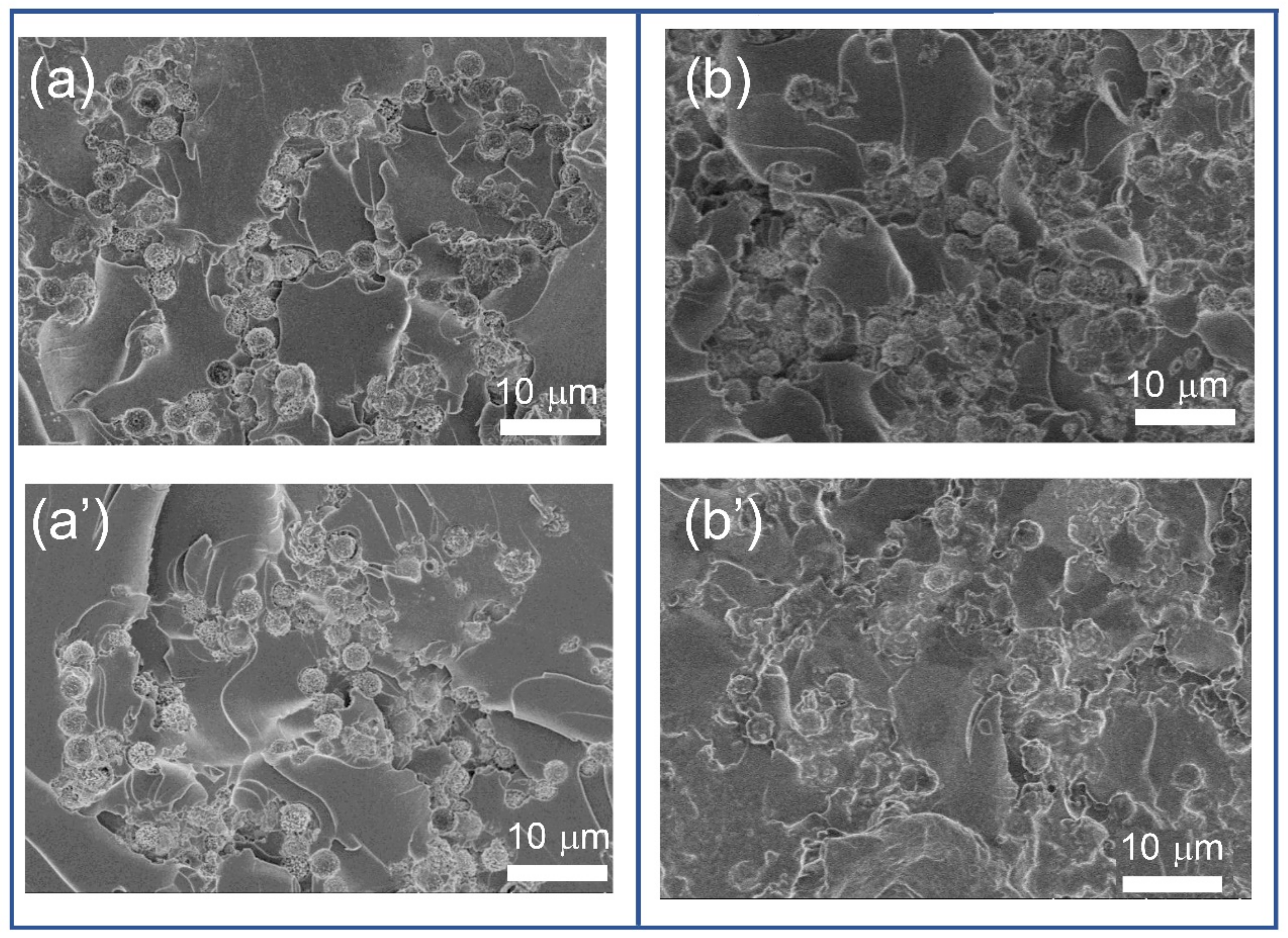 Polymers 13 03826 g009