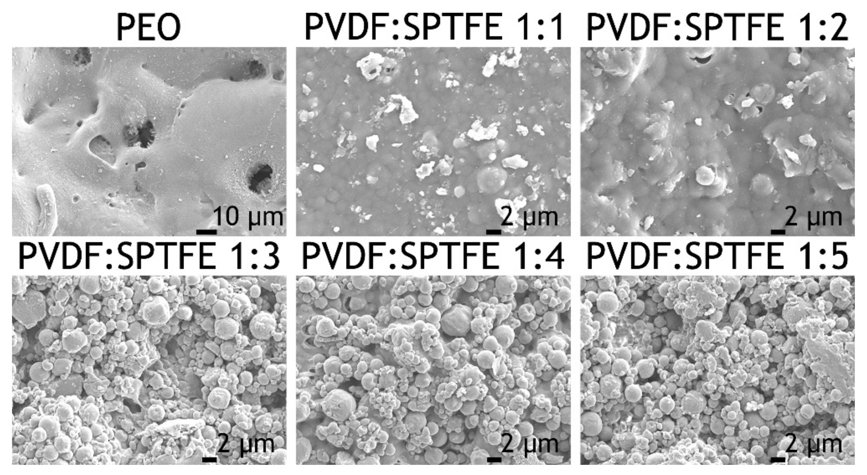 Polymers 13 03827 g003
