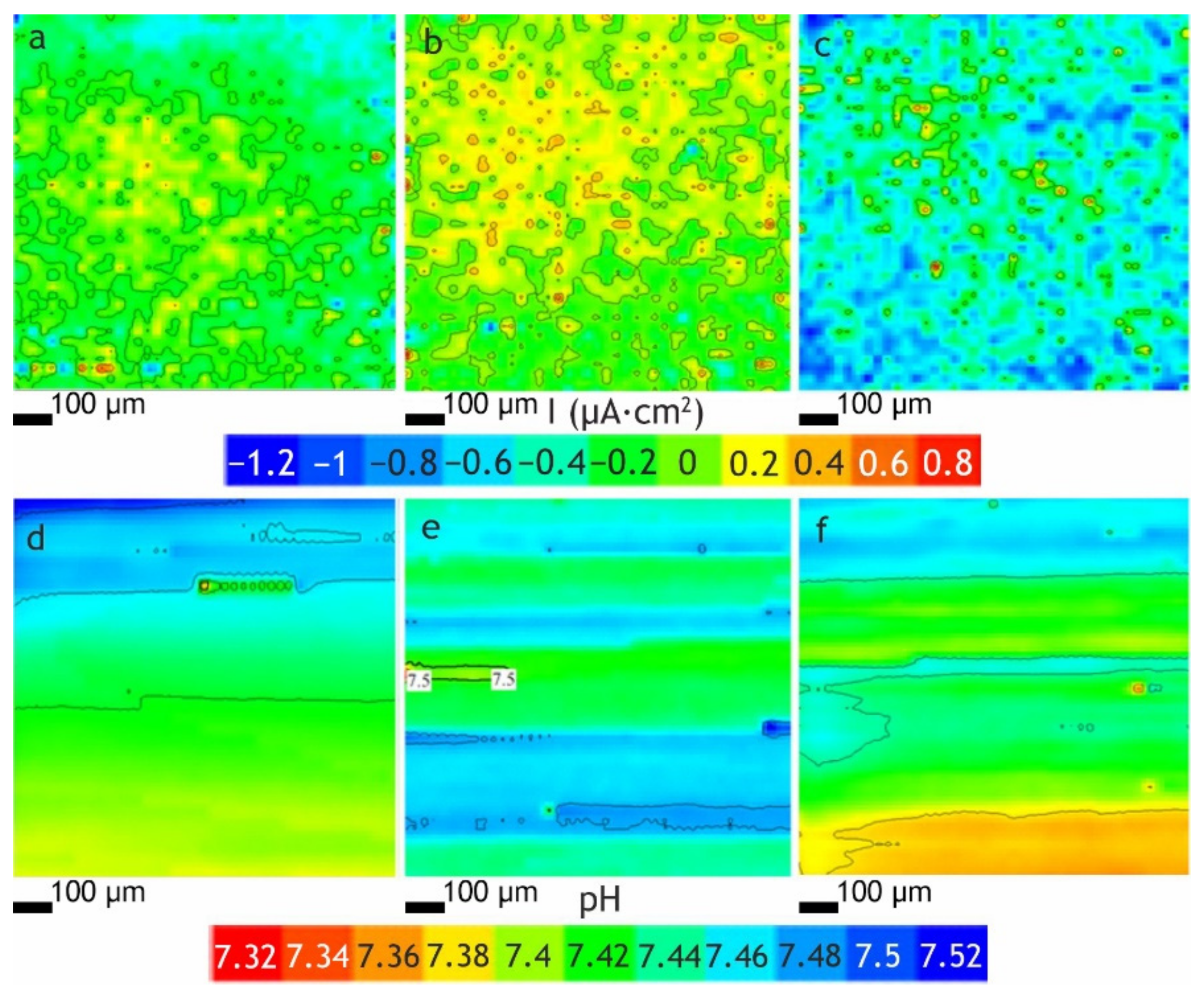 Polymers 13 03827 g004