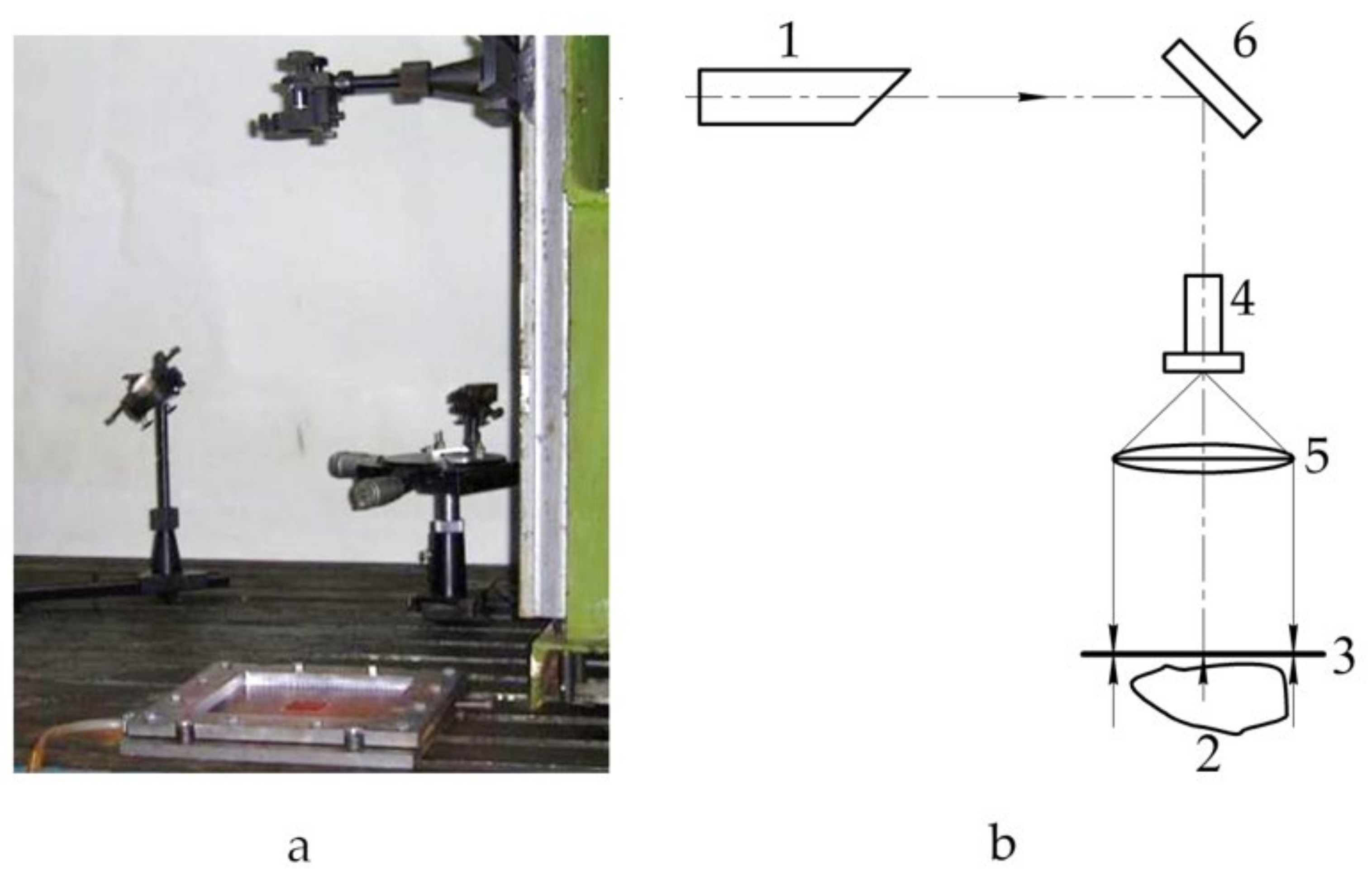 Polymers 13 03830 g011
