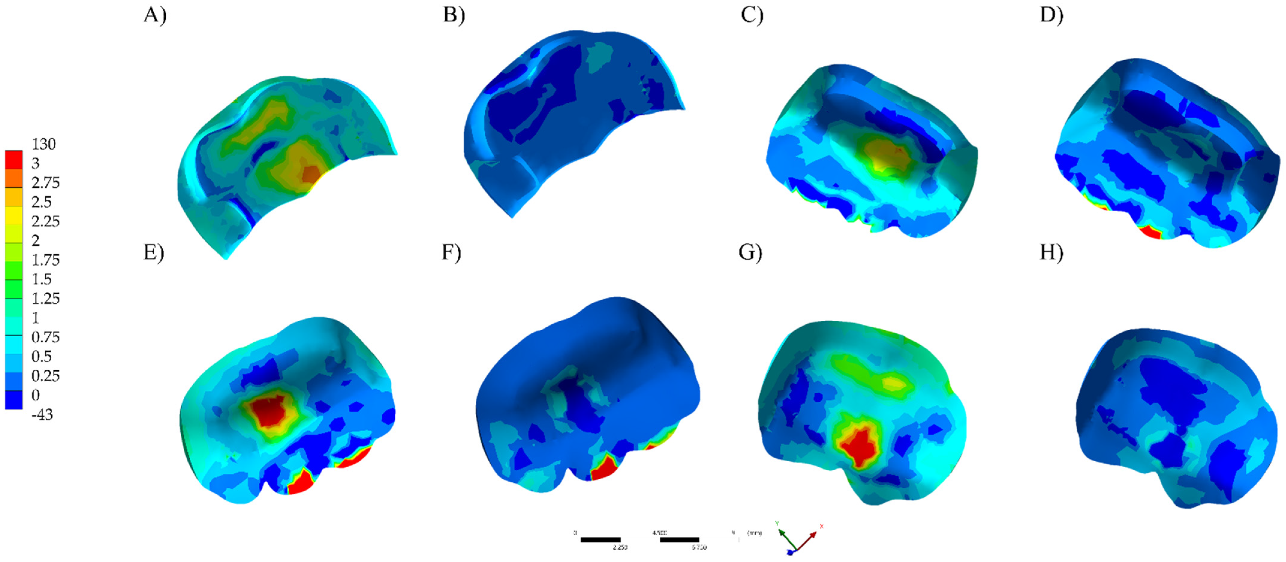 Polymers 13 03831 g002
