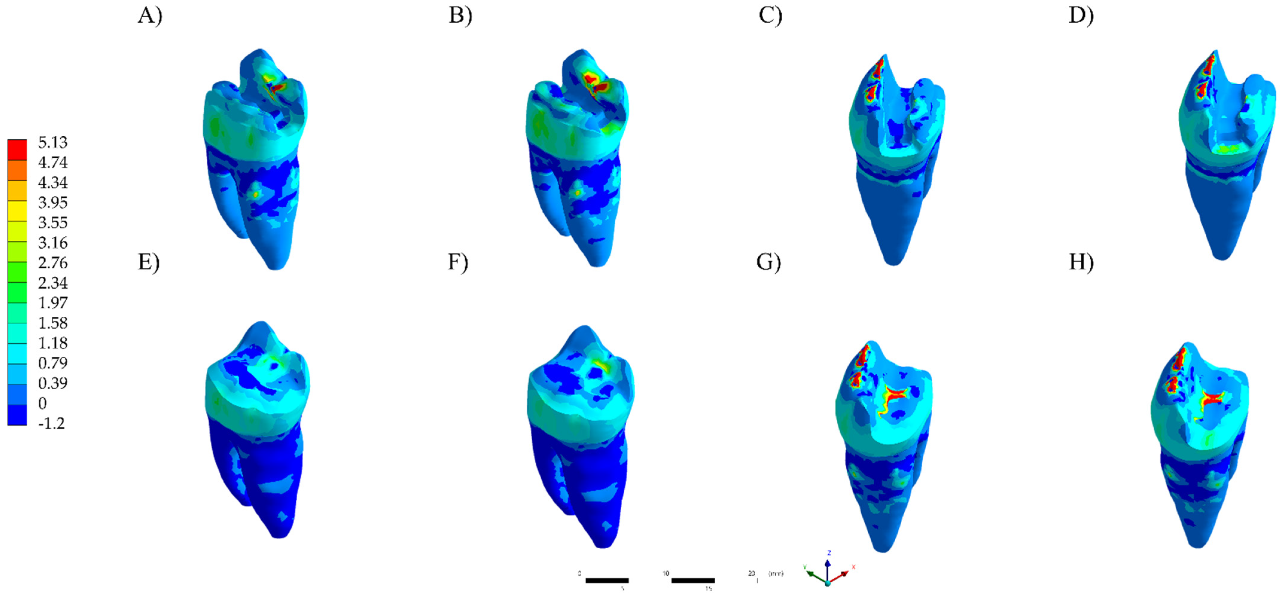 Polymers 13 03831 g004