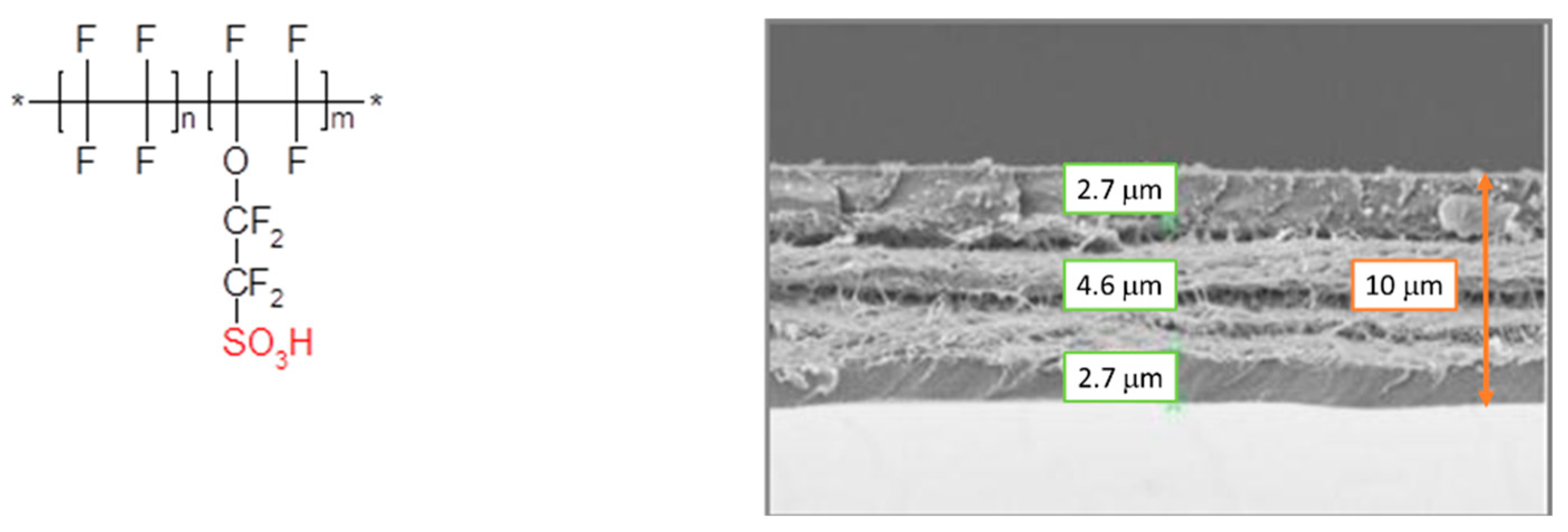 Polymers 13 03832 g003