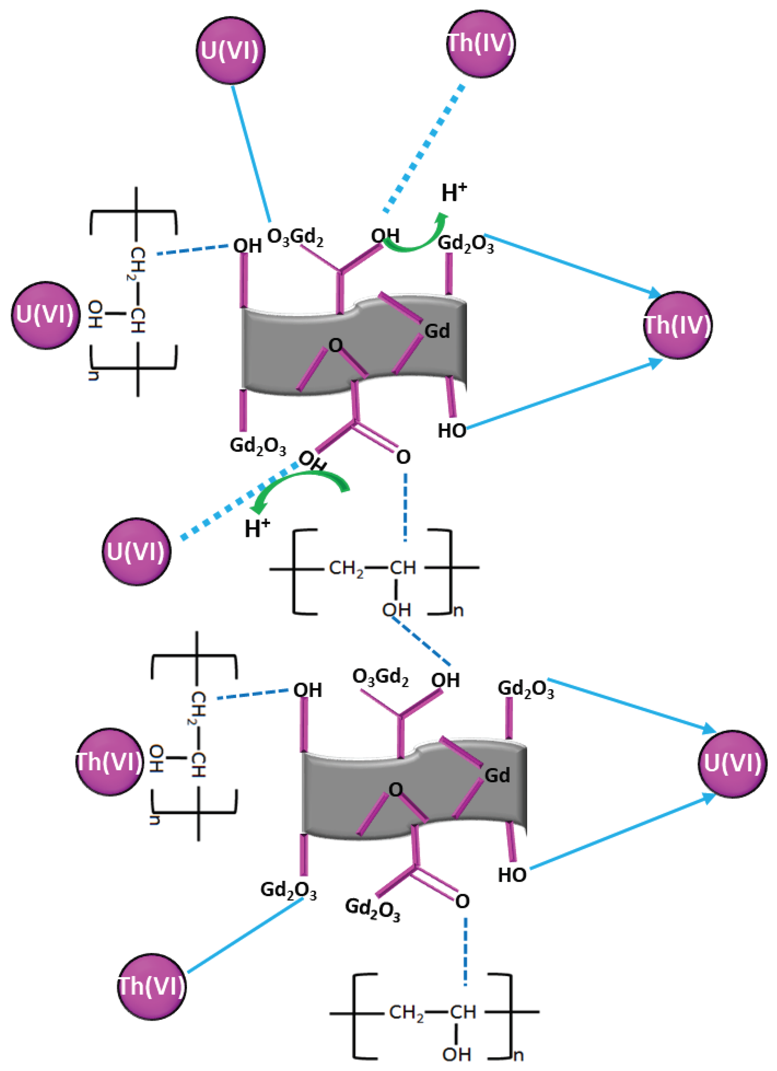 Polymers 13 03835 g006
