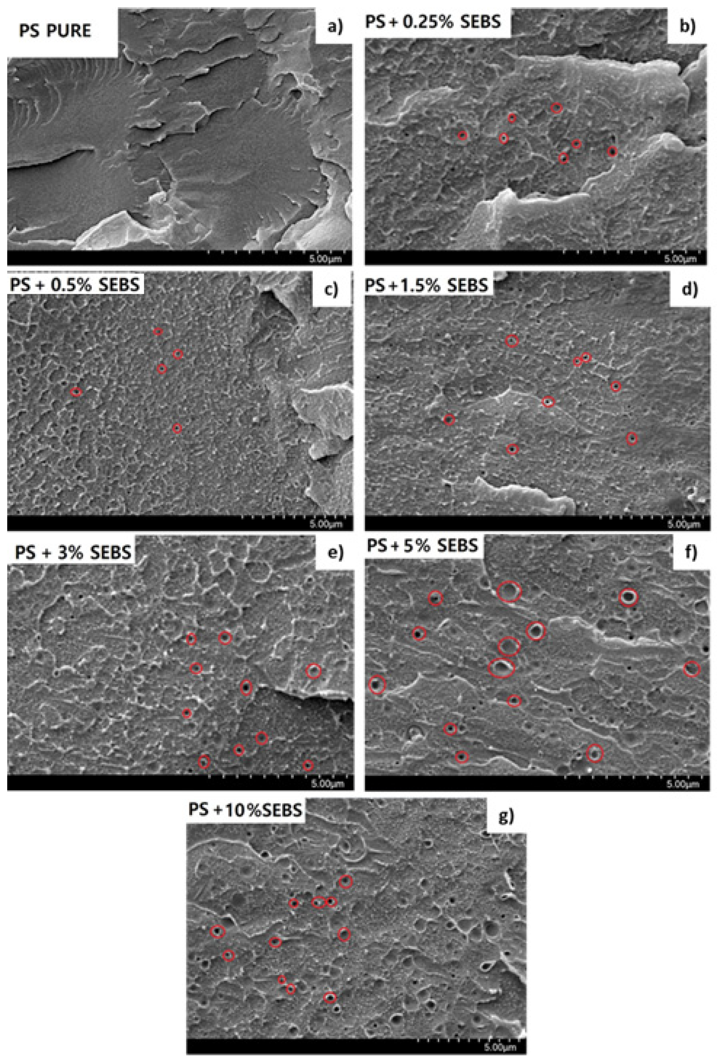 Polymers 13 03836 g001