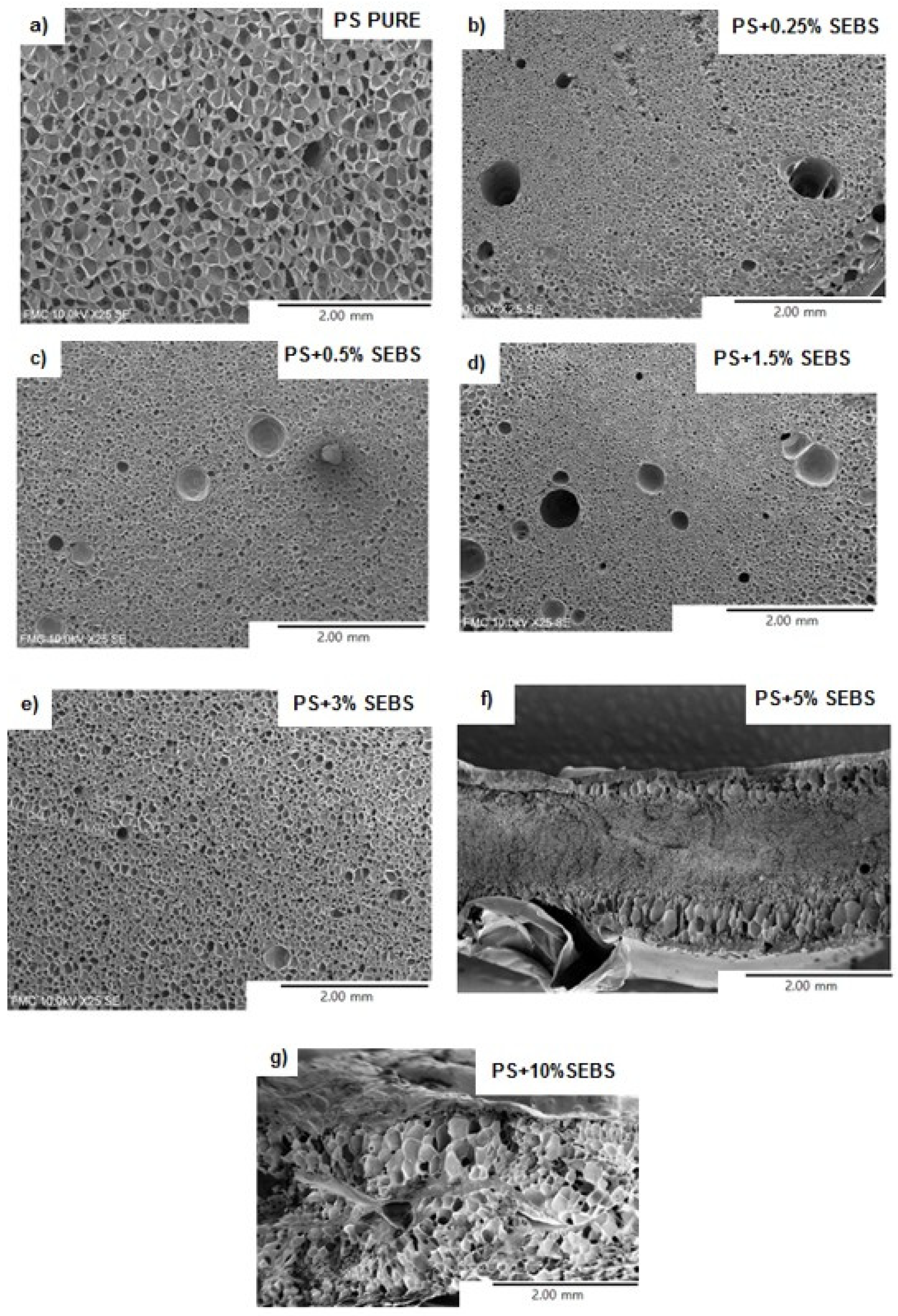 Polymers 13 03836 g003