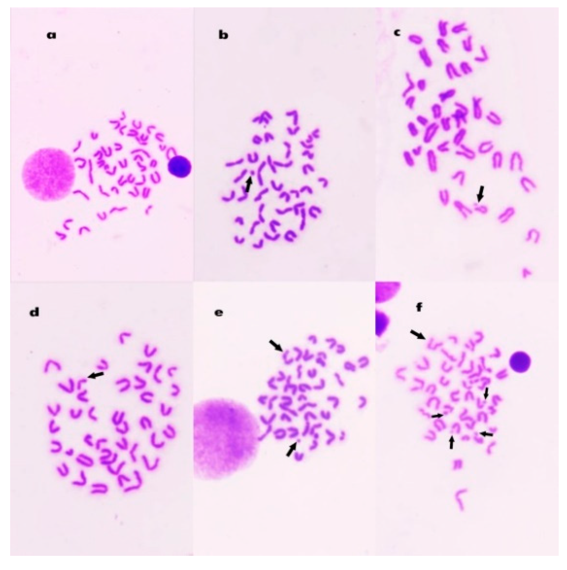 Polymers 13 03839 g008
