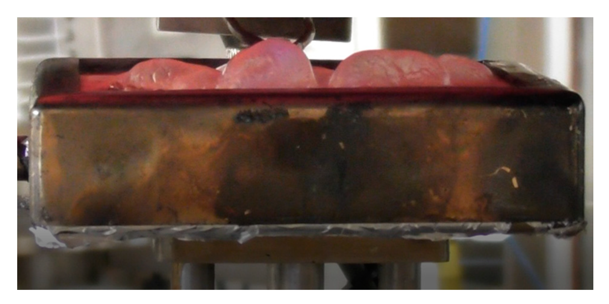 Polymers 13 03841 g006