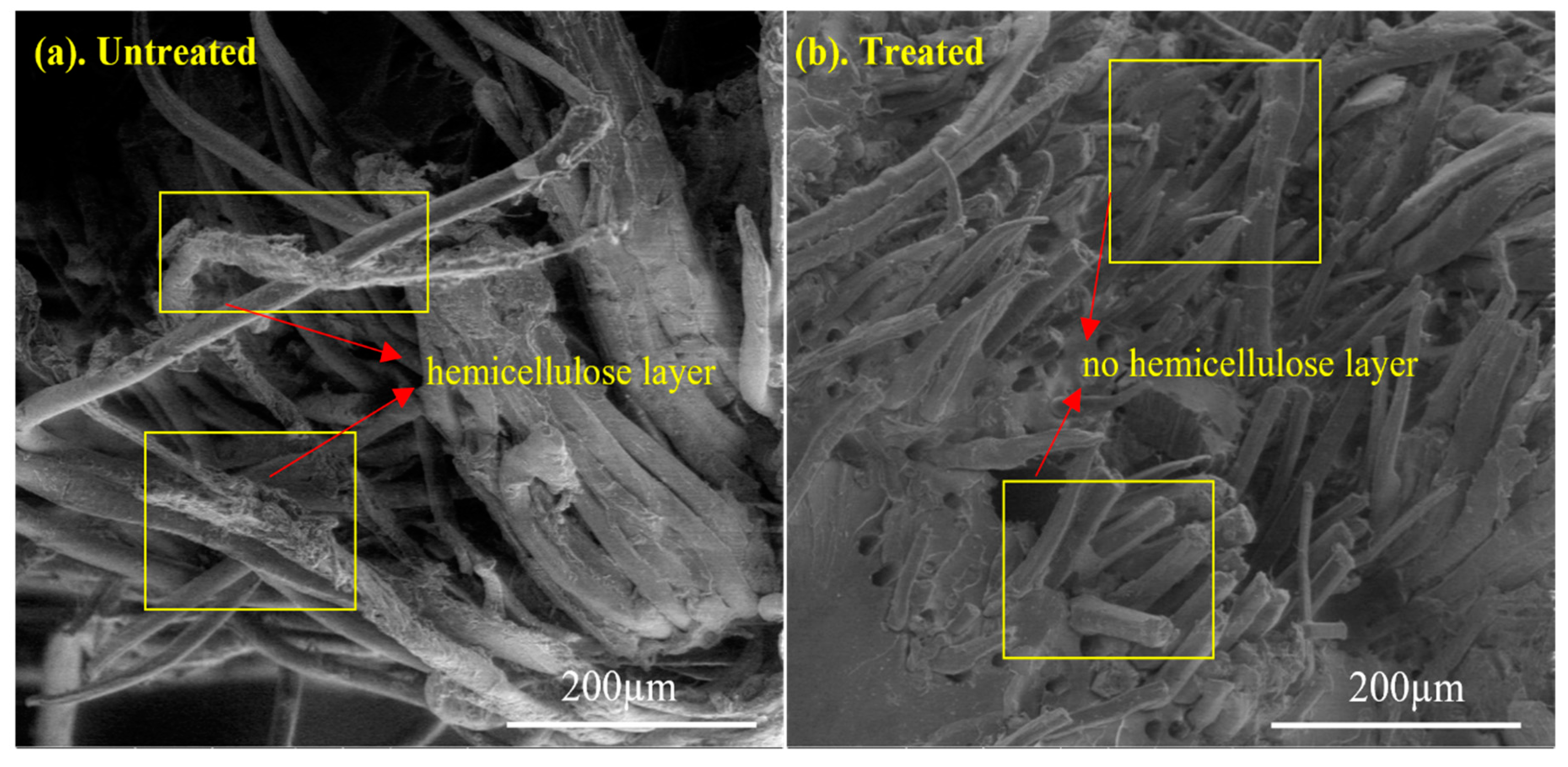Polymers 13 03842 g006