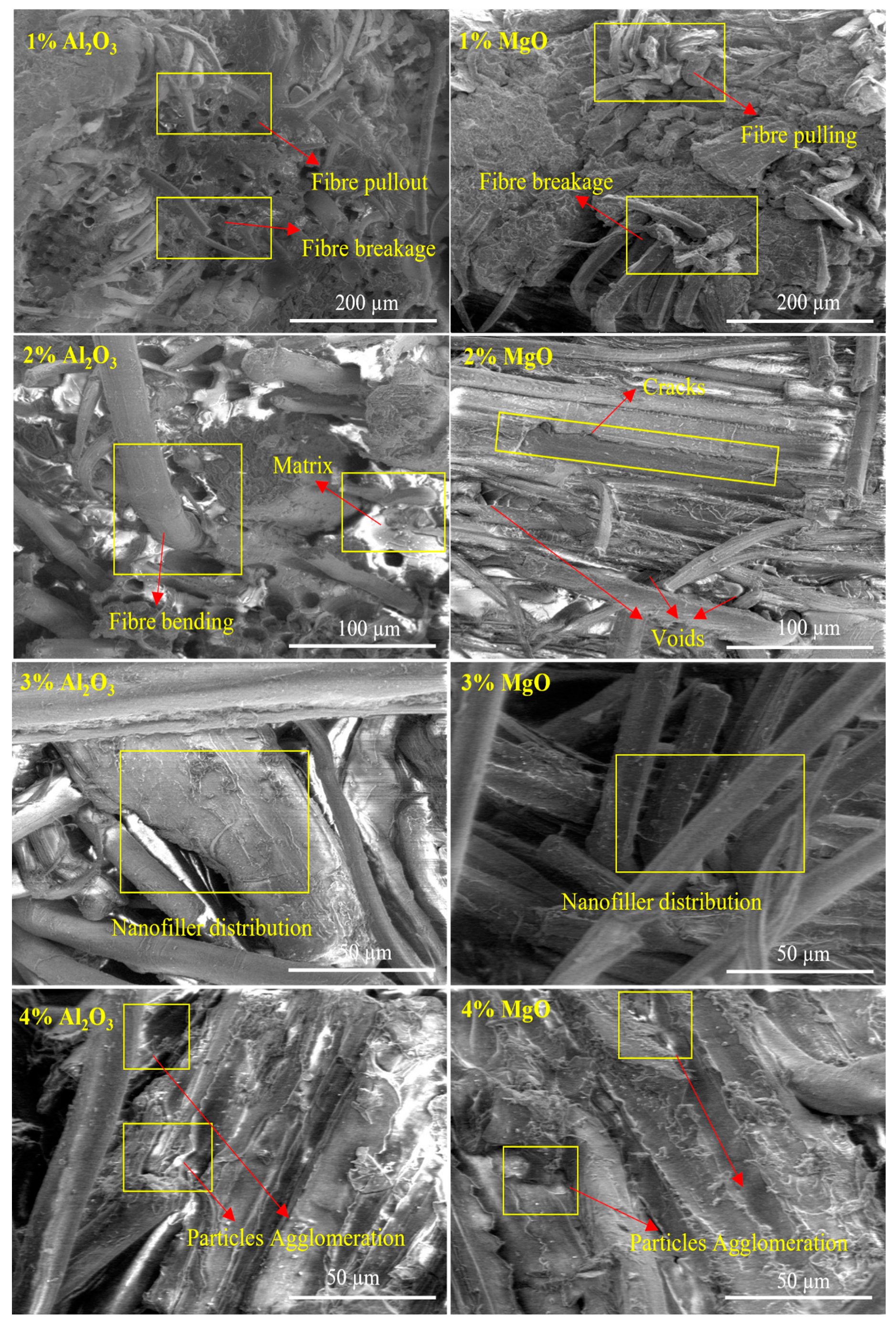 Polymers 13 03842 g007