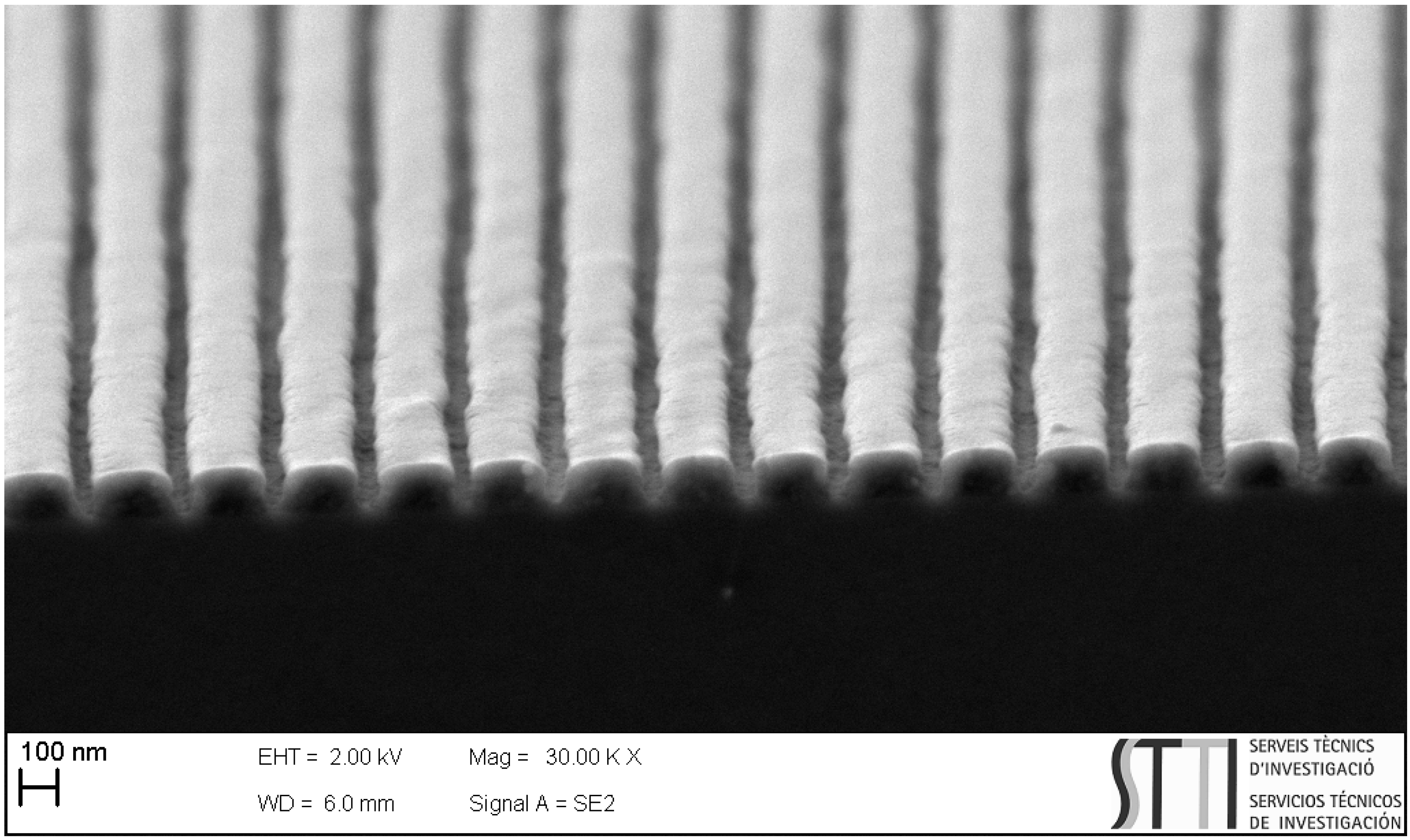 Polymers 13 03843 g003