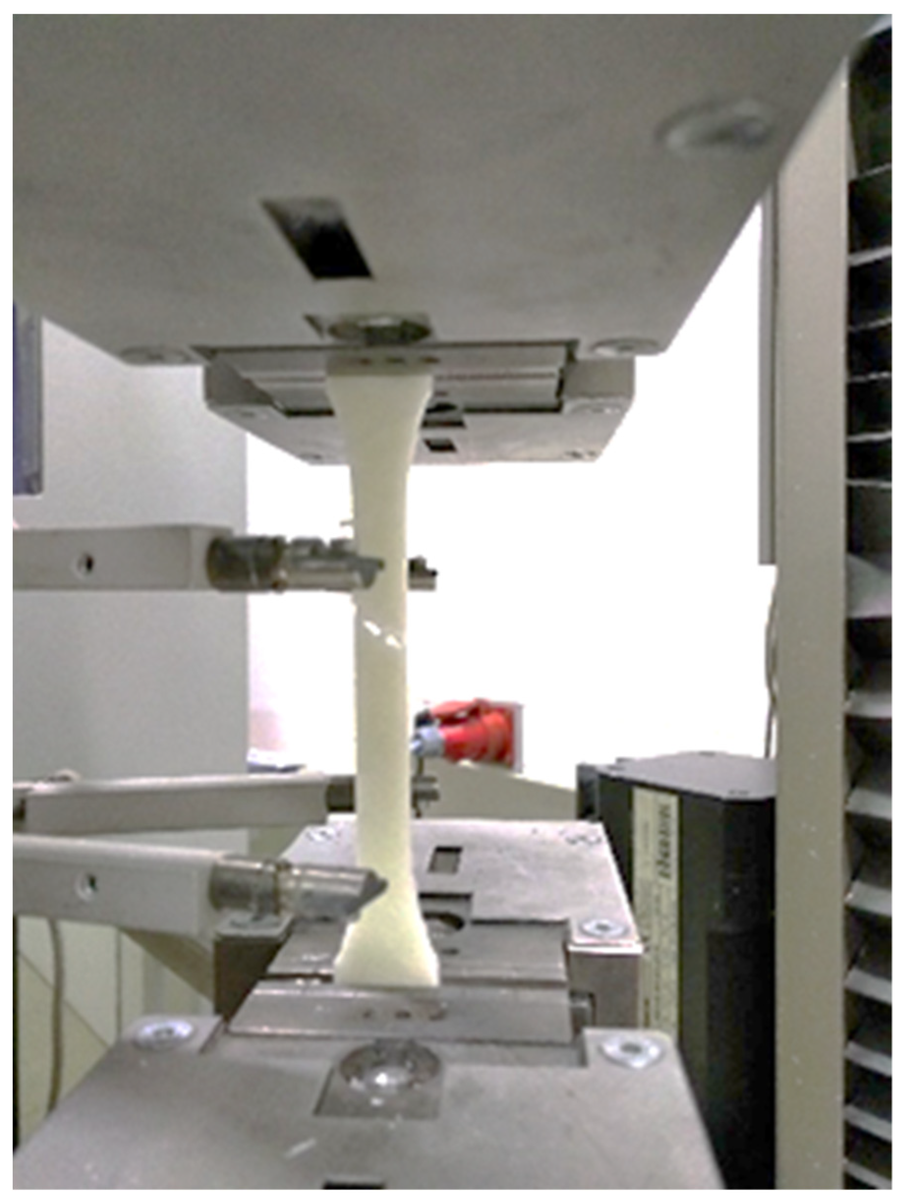 Polymers 13 03846 g005