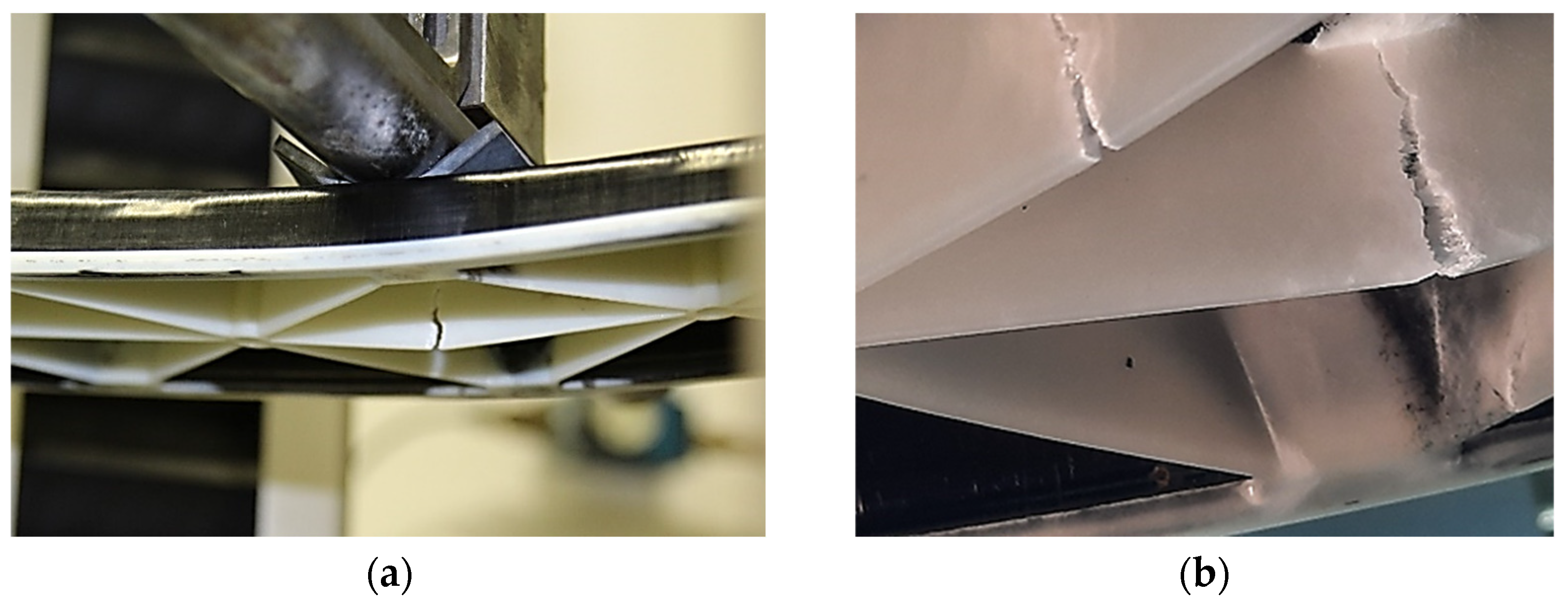 Polymers 13 03846 g006