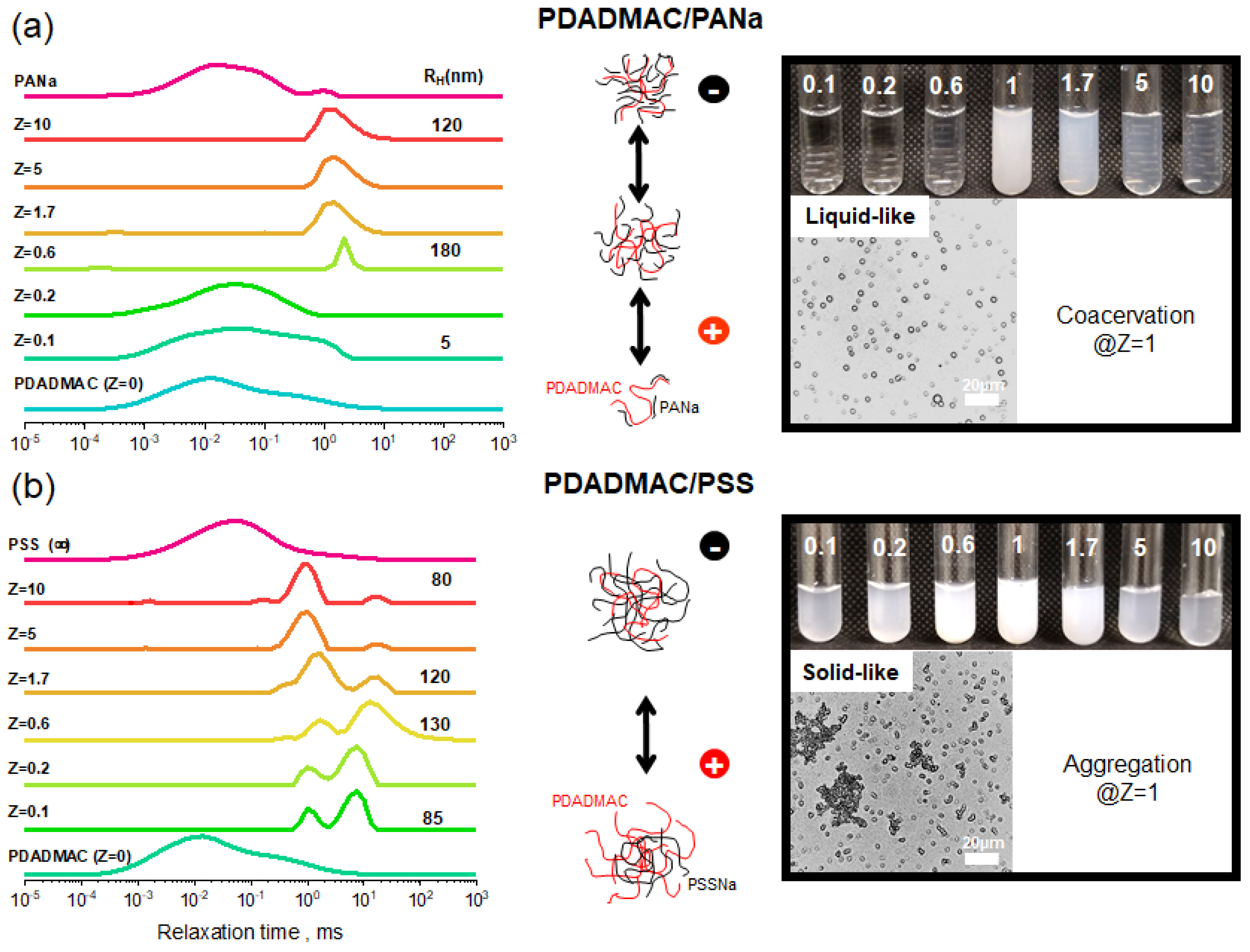 Polymers 13 03848 g003 Polymers 13 03848 g003