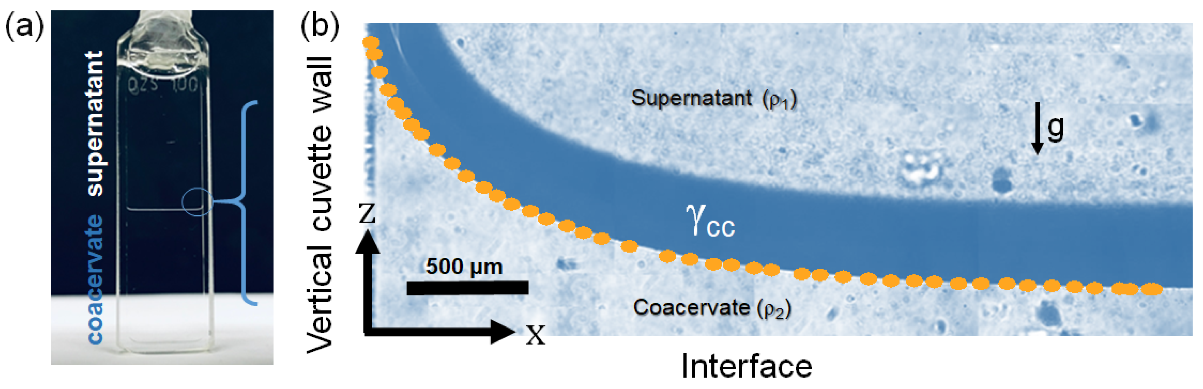 Polymers 13 03848 g008 Polymers 13 03848 g008