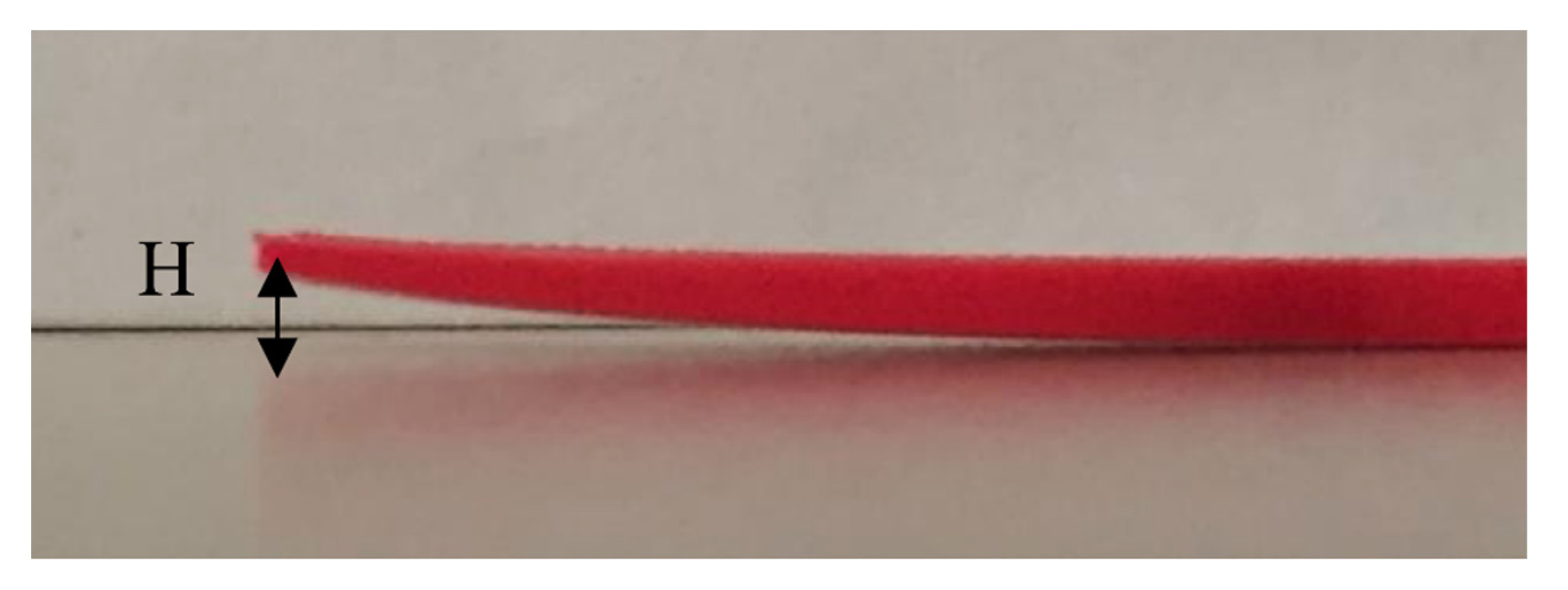 Polymers 13 03849 g006