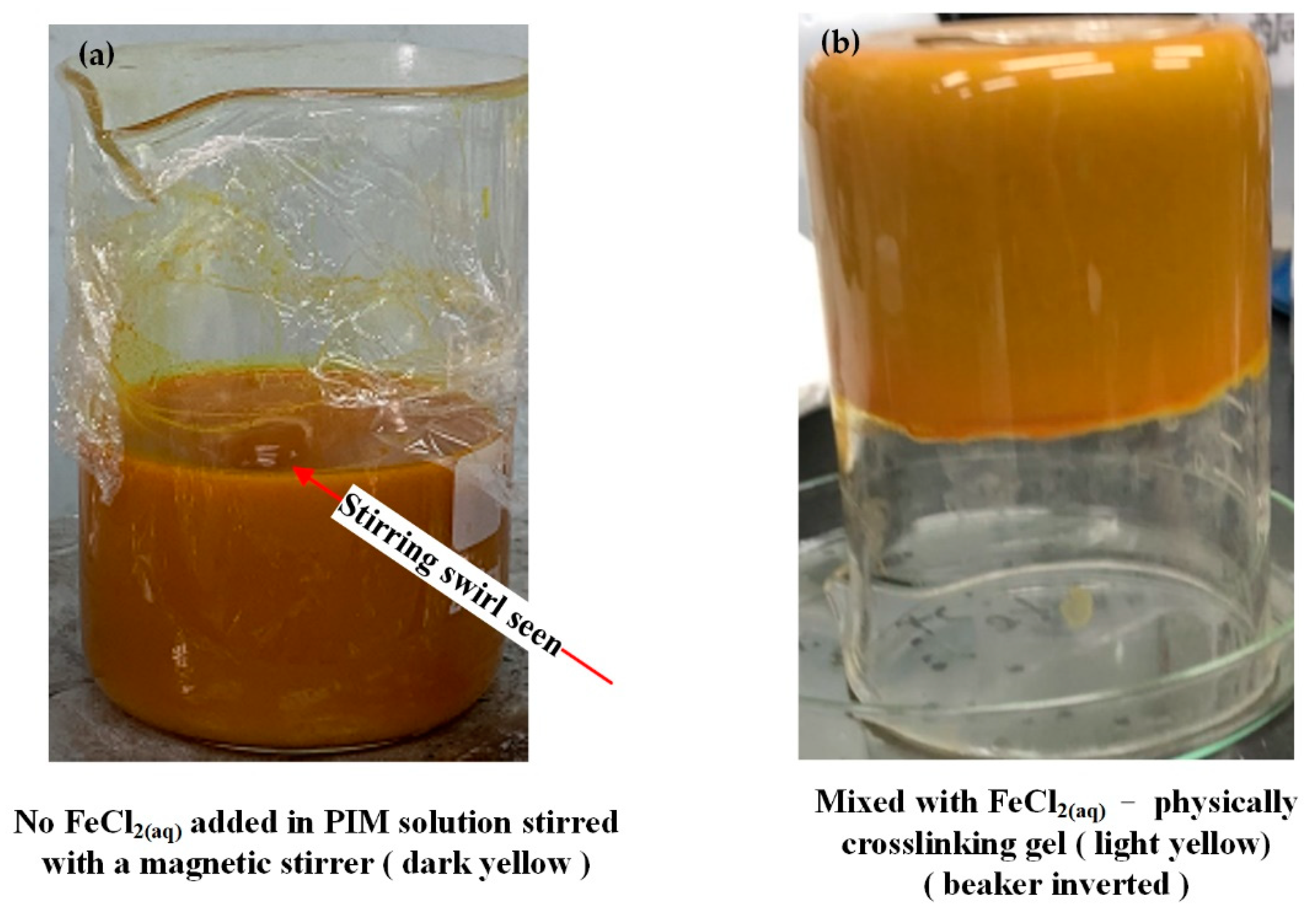 Polymers 13 03850 g002