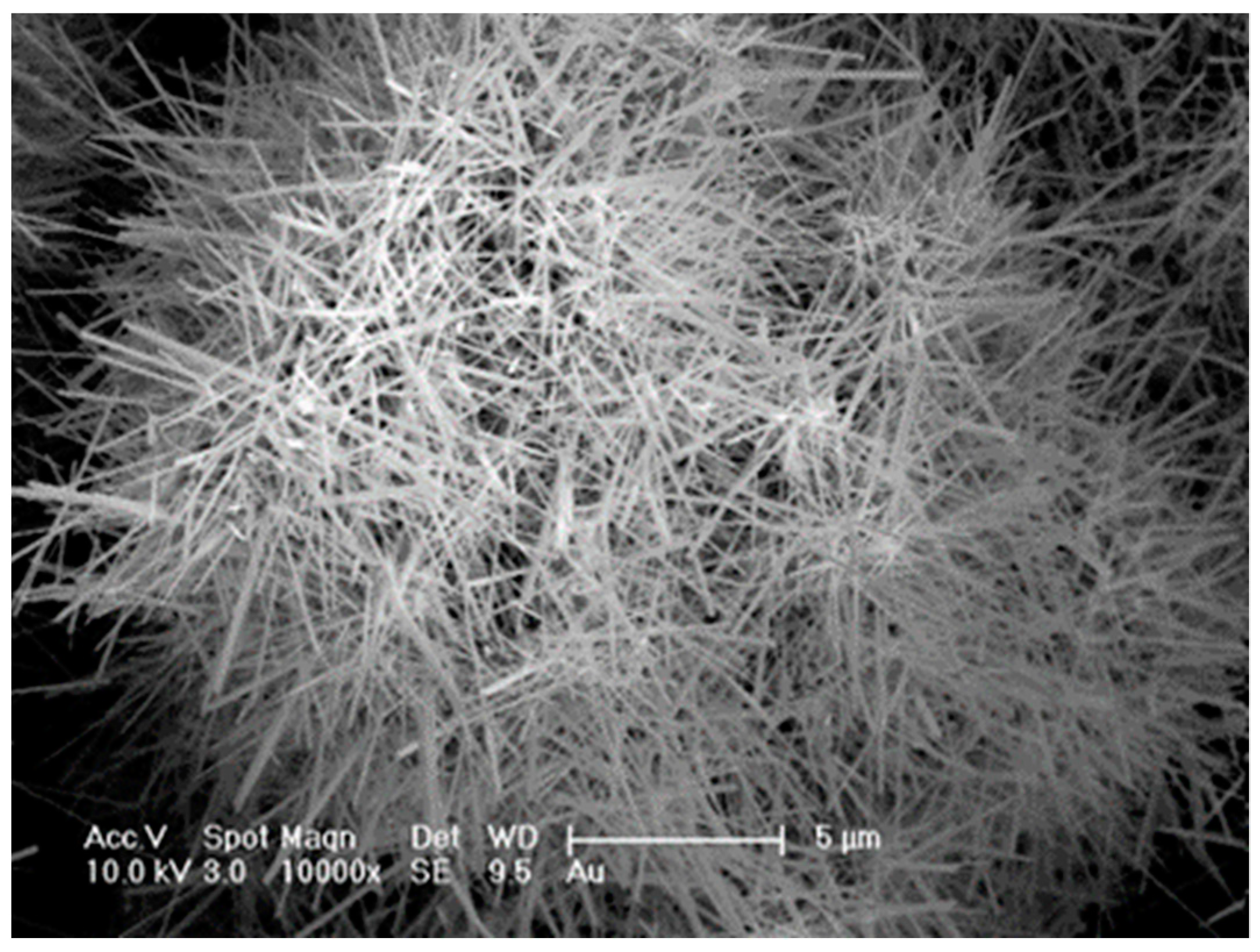 Polymers 13 03851 g001