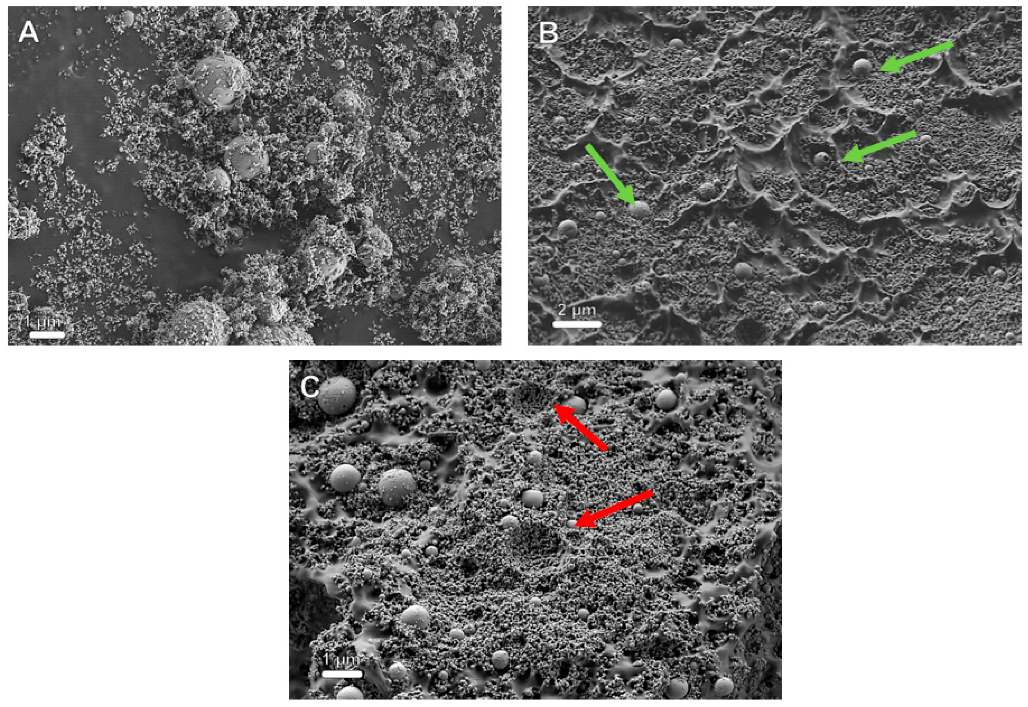Polymers 13 03851 g003