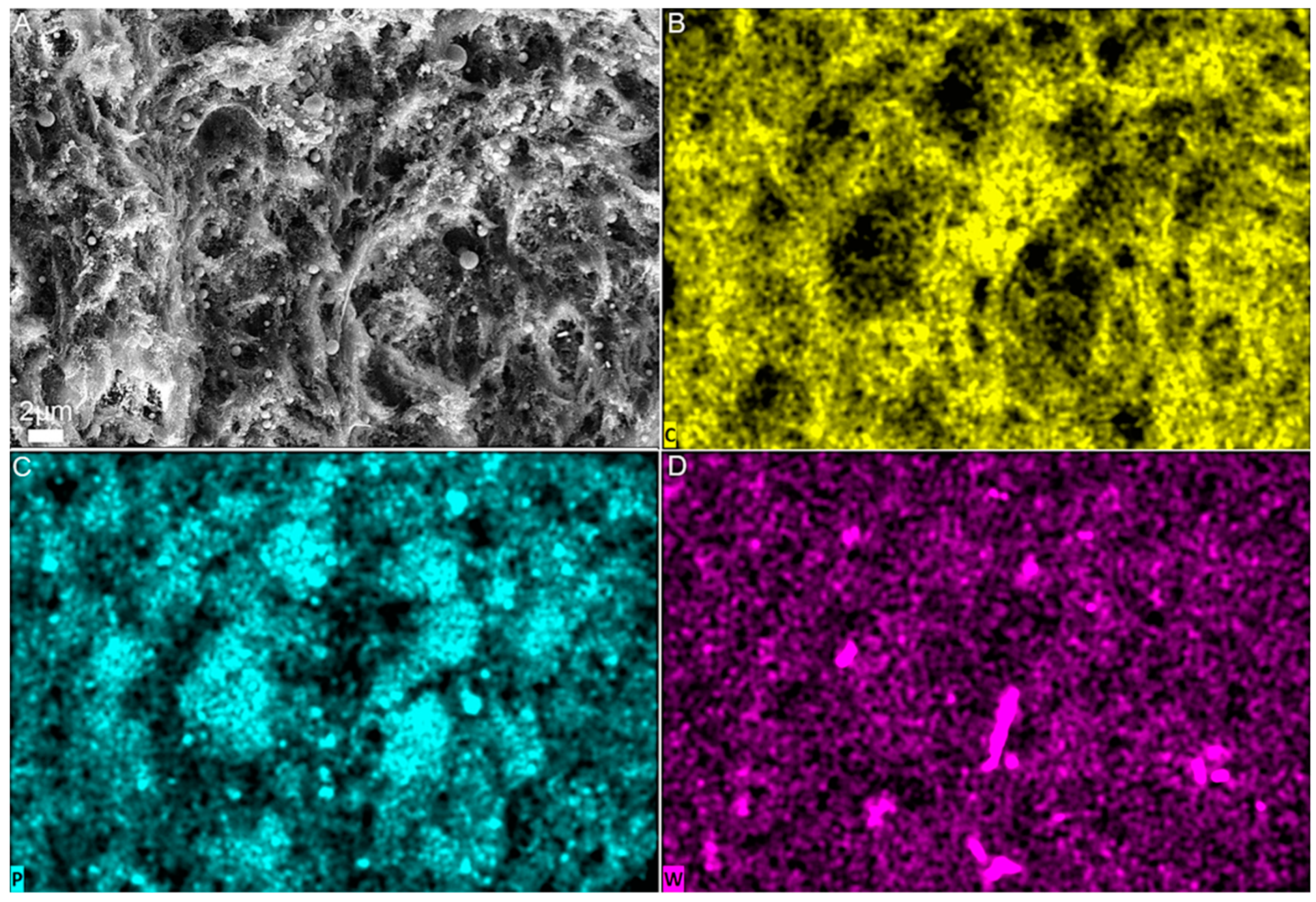Polymers 13 03851 g005