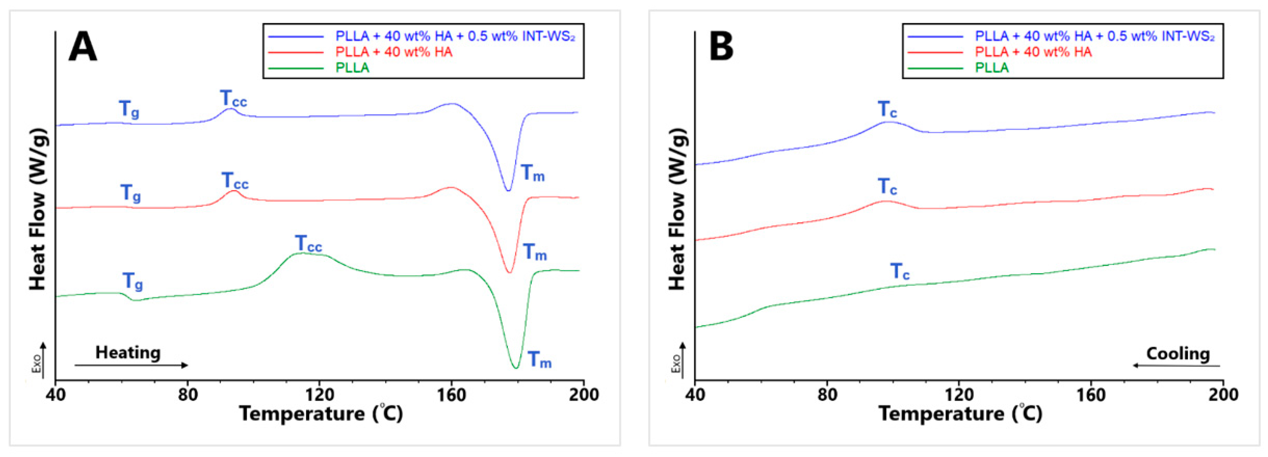 Polymers 13 03851 g008