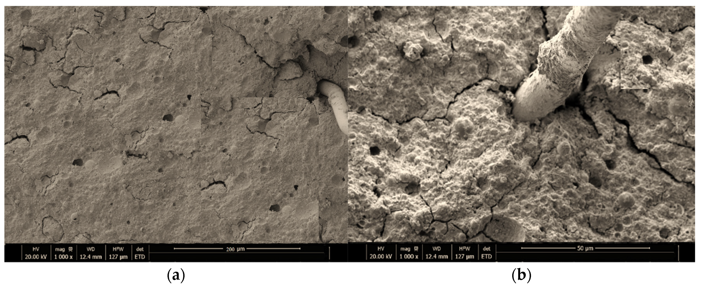 Polymers 13 03852 g018a