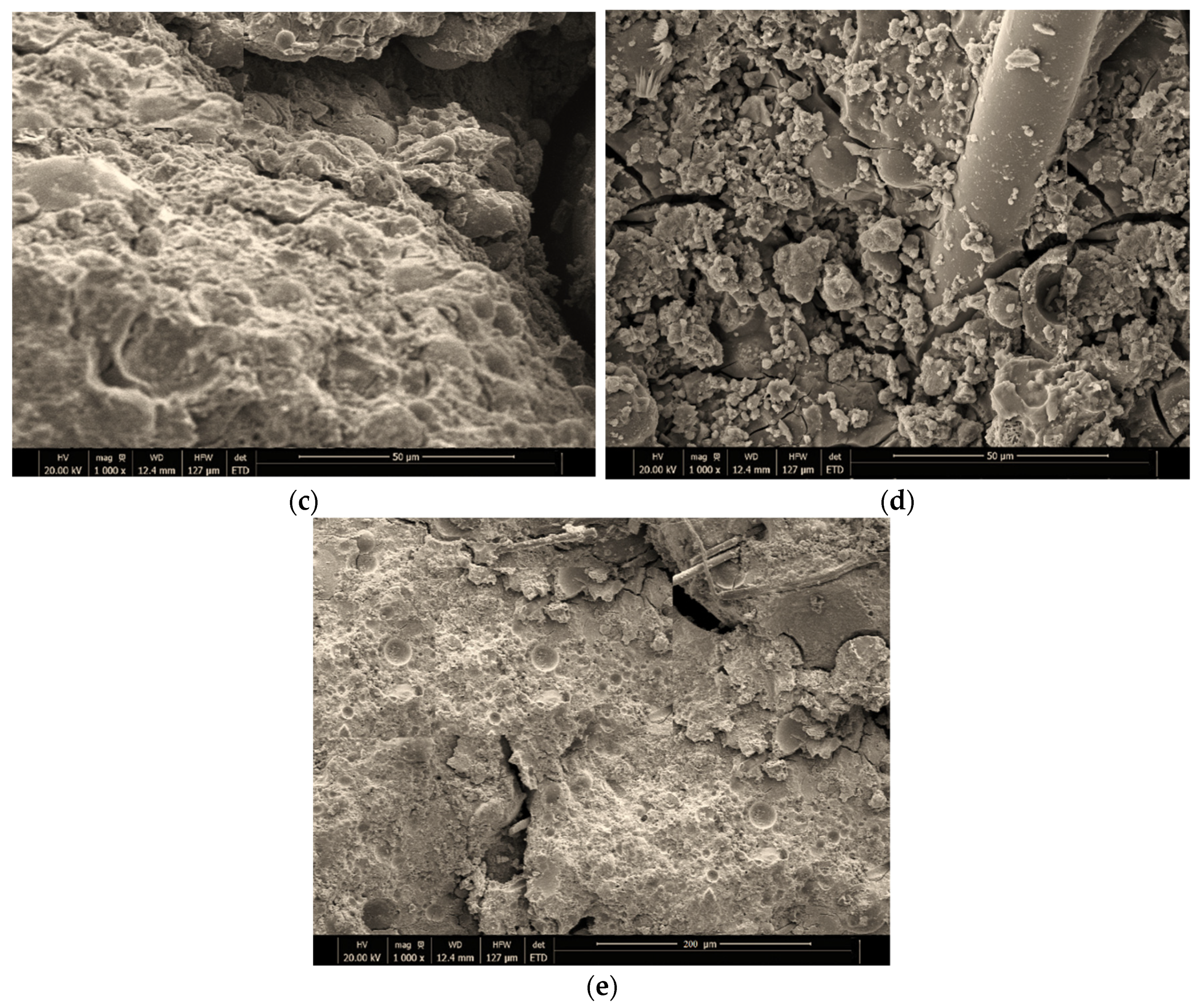 Polymers 13 03852 g018b
