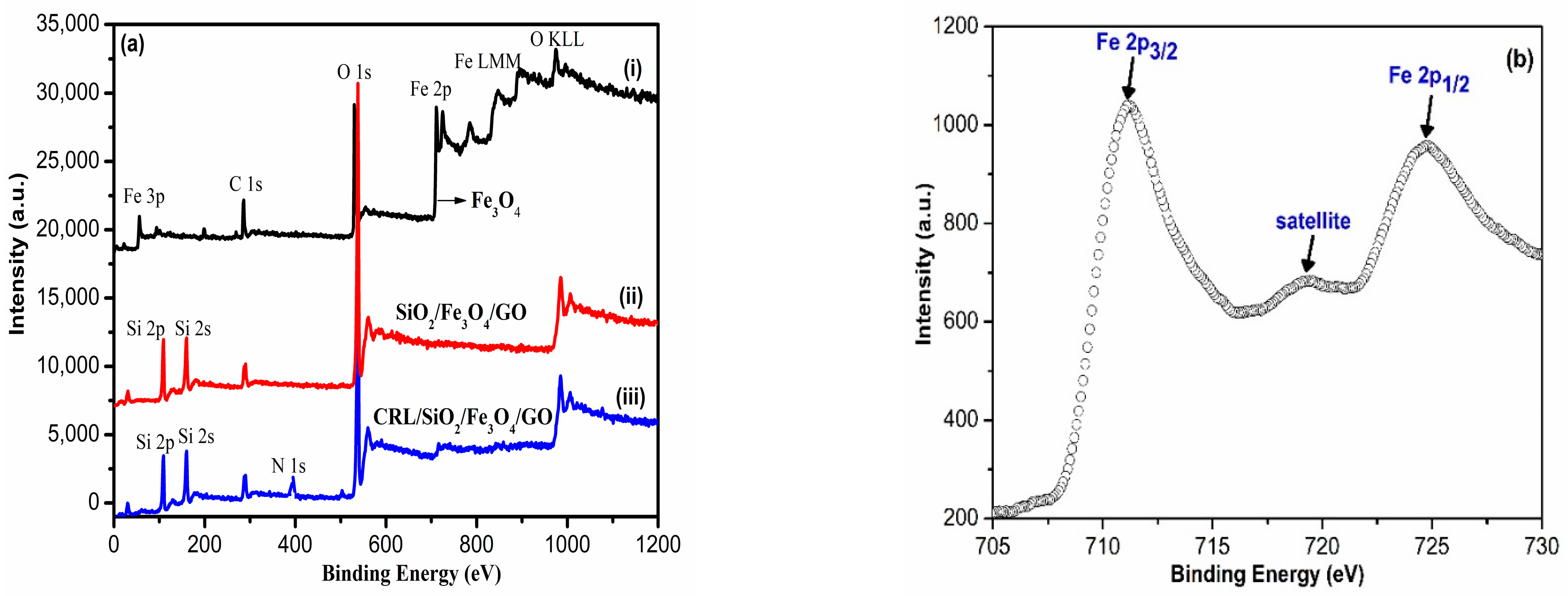 Polymers 13 03854 g001a