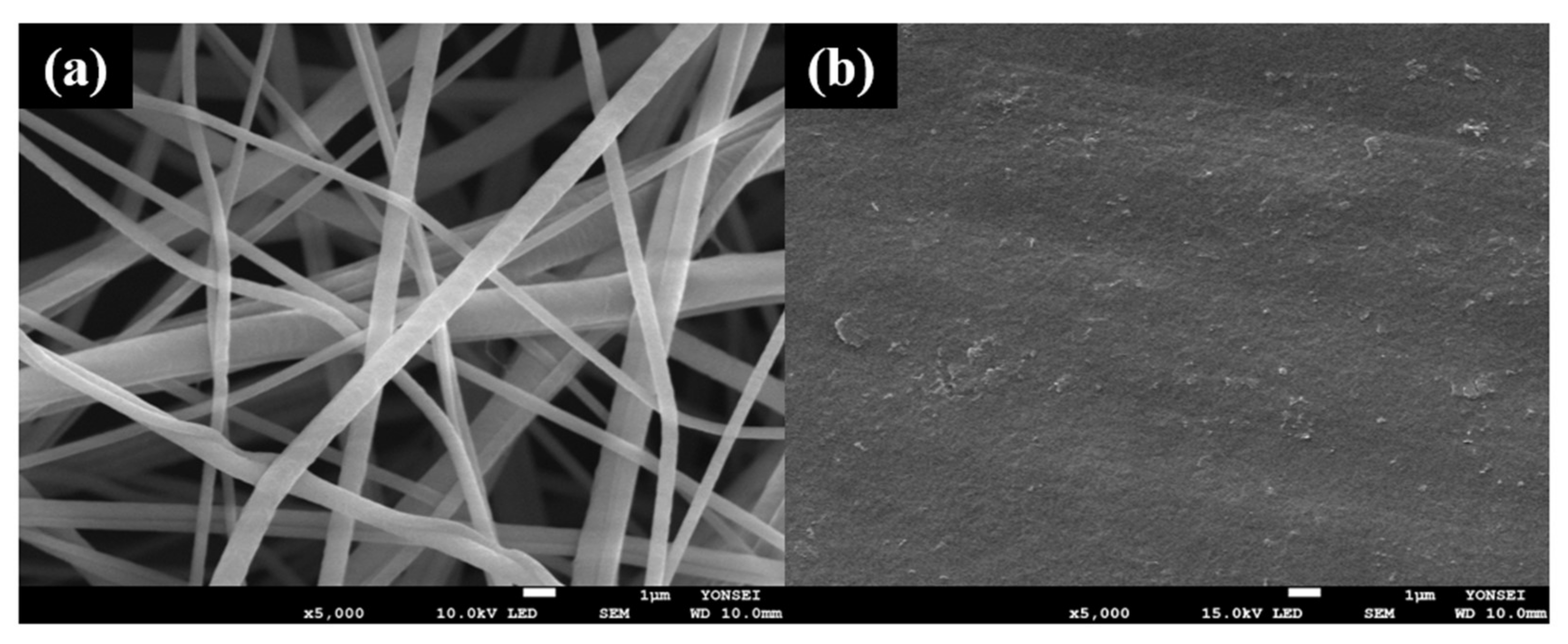 Polymers 13 03856 g002a