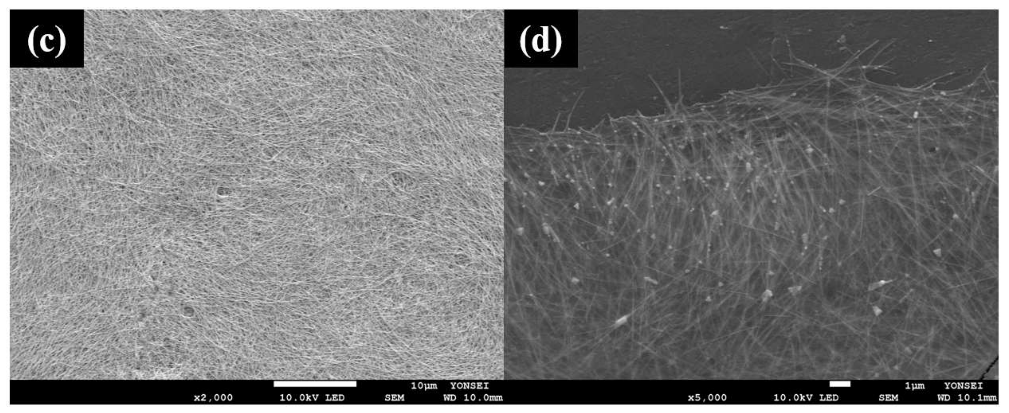 Polymers 13 03856 g002b