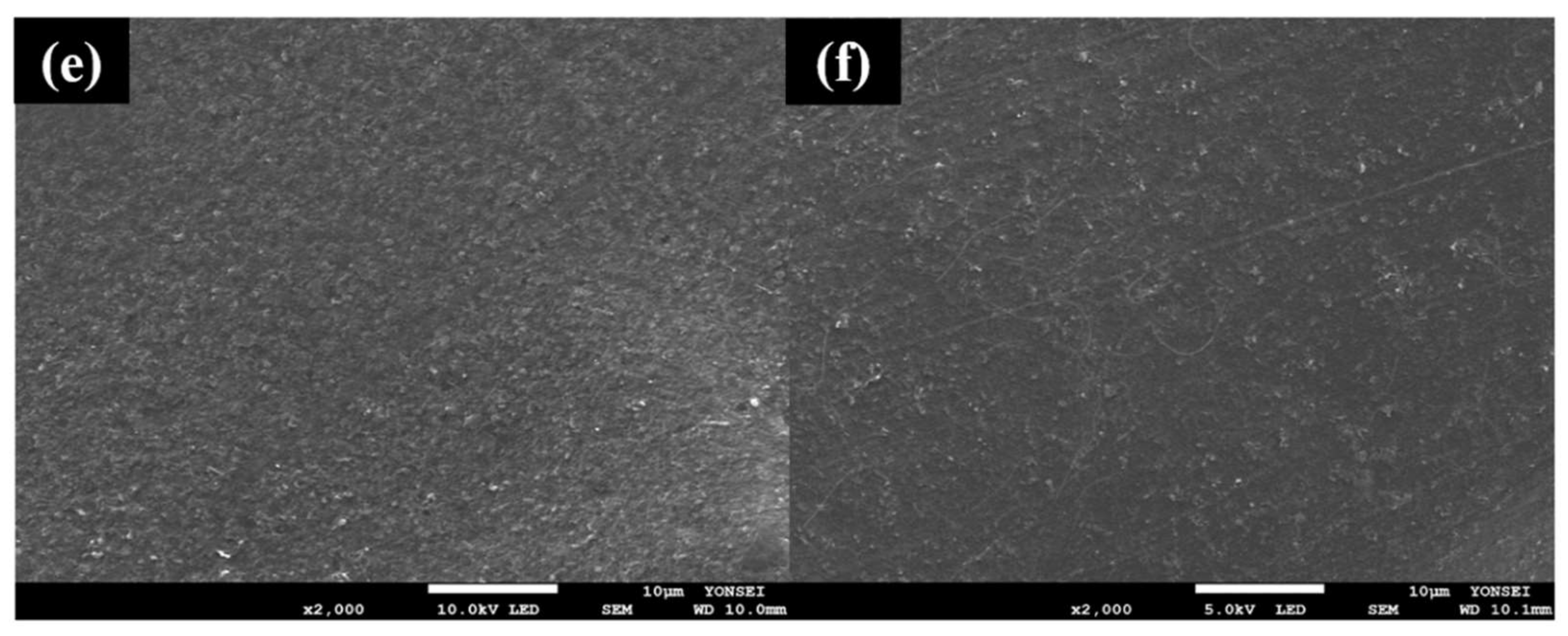 Polymers 13 03856 g003b