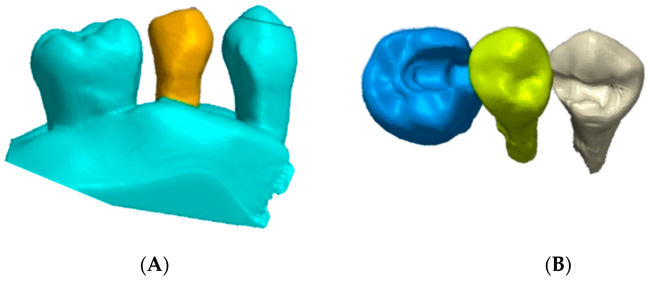 Polymers 13 03863 g002 Polymers 13 03863 g002