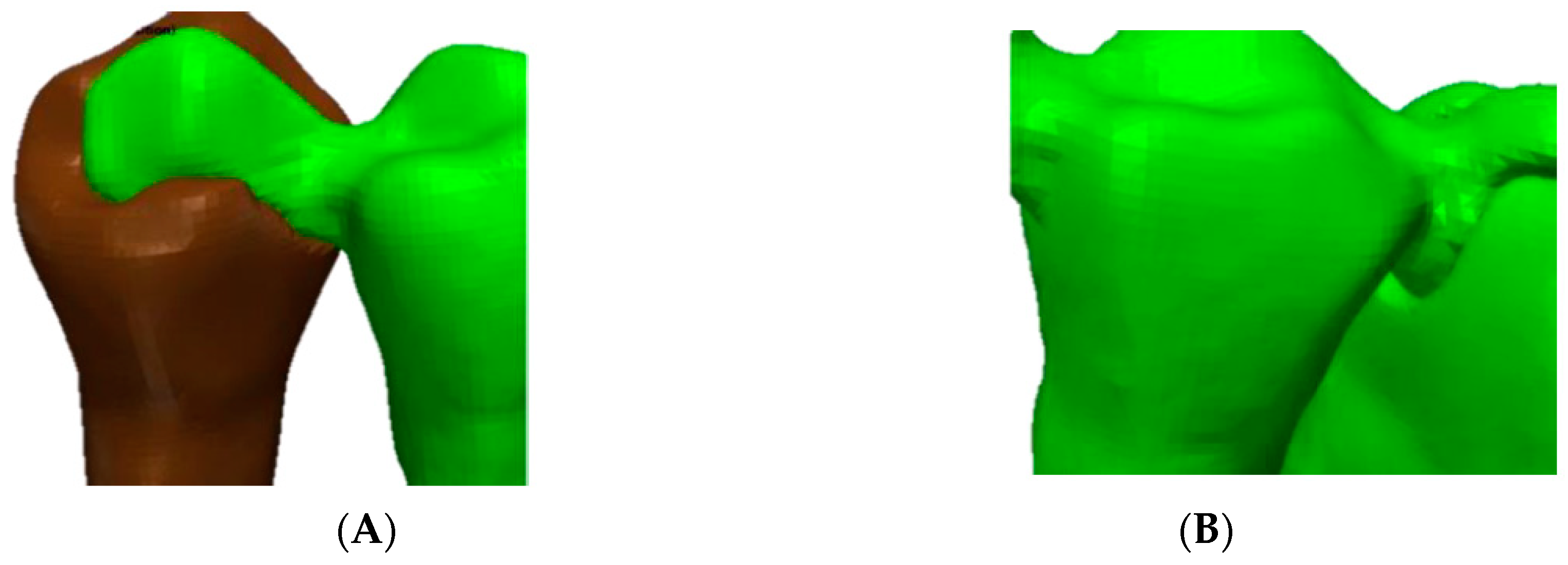 Polymers 13 03863 g004 Polymers 13 03863 g004