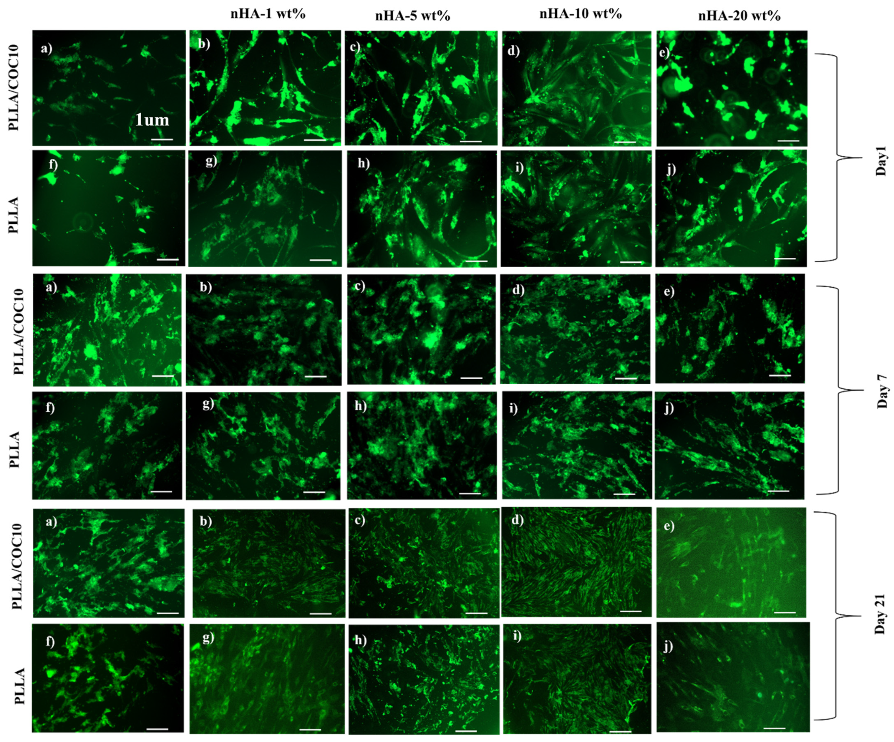 Polymers 13 03865 g009