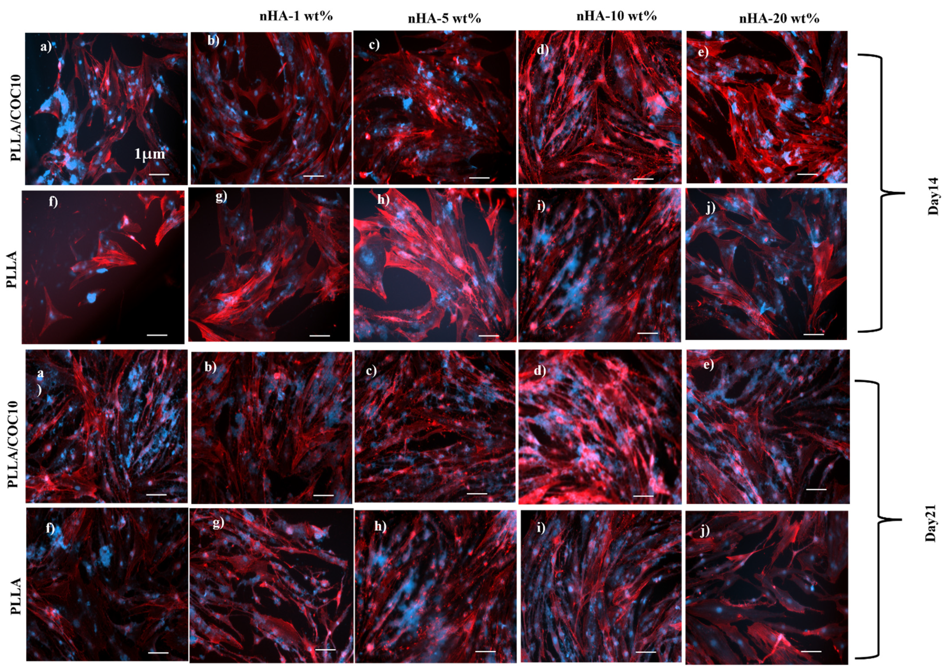 Polymers 13 03865 g011