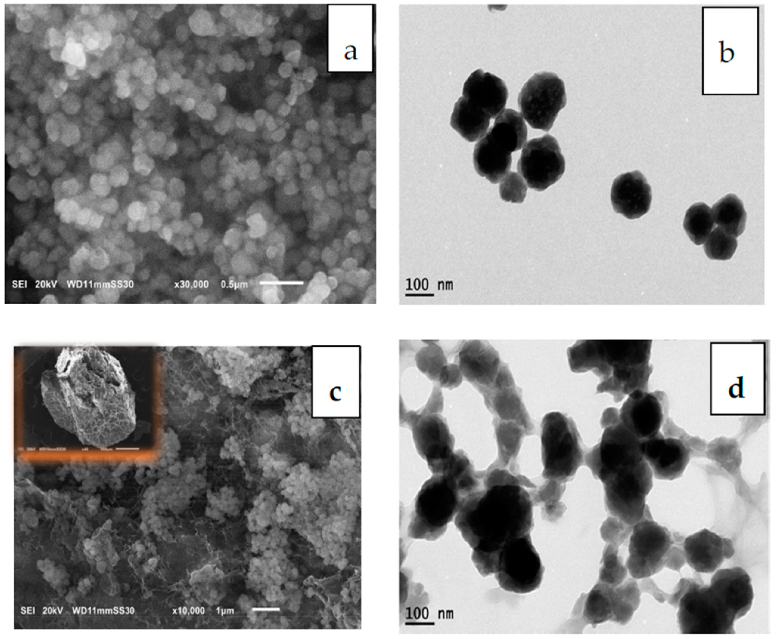 Polymers 13 03869 g003