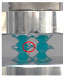 Polymers 13 03882 i016