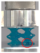 Polymers 13 03882 i022