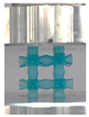 Polymers 13 03882 i025