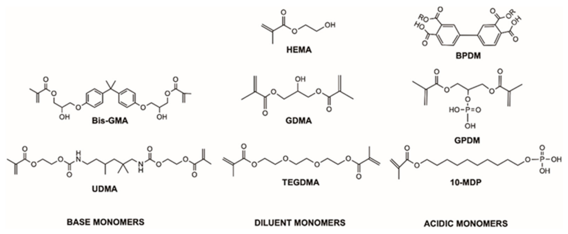 Polymers 13 03886 g001