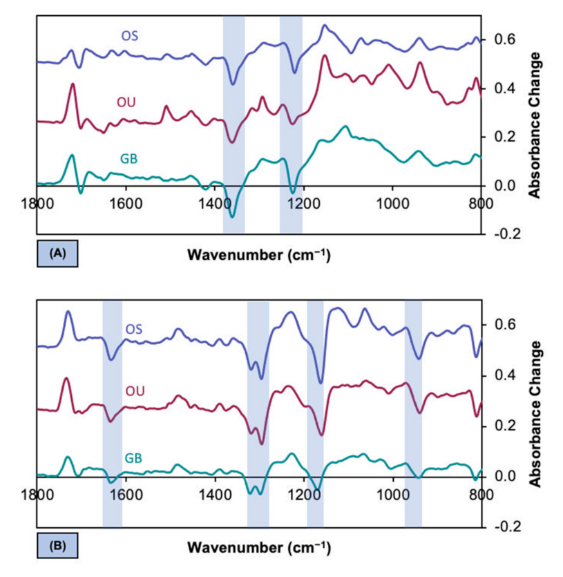 Polymers 13 03886 g004
