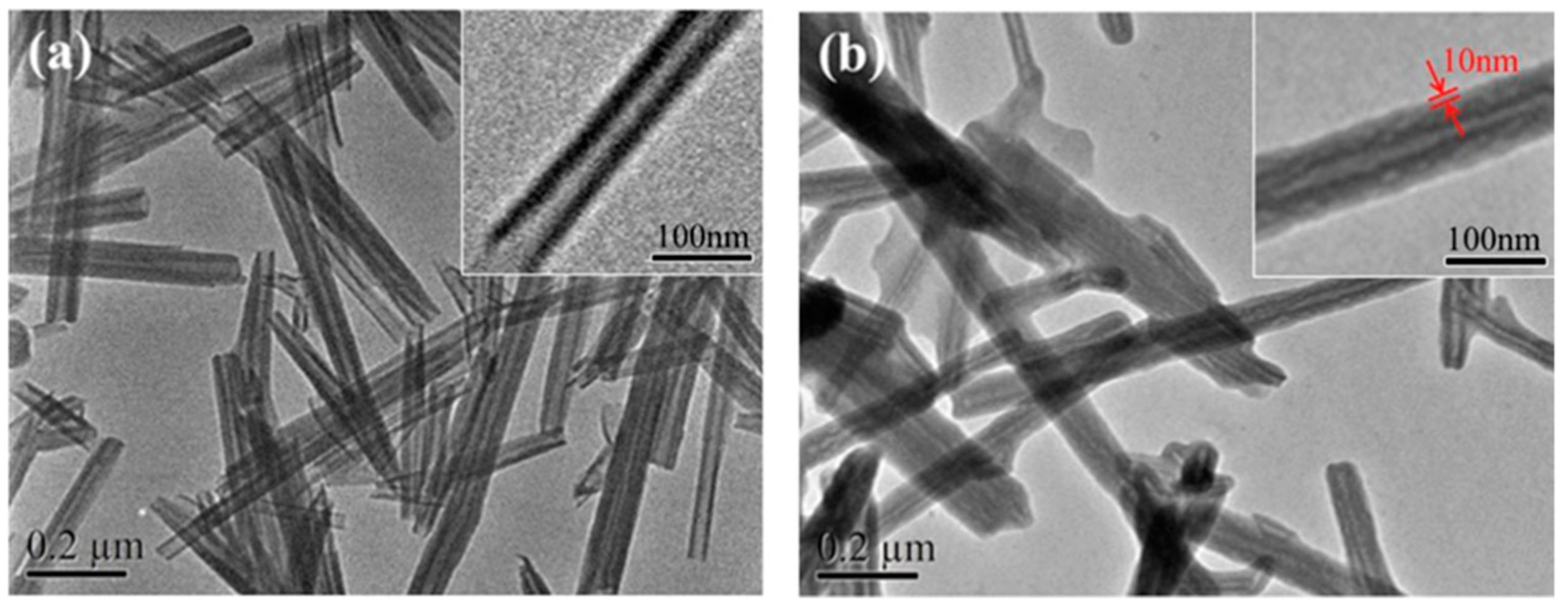 Polymers 13 03887 g002
