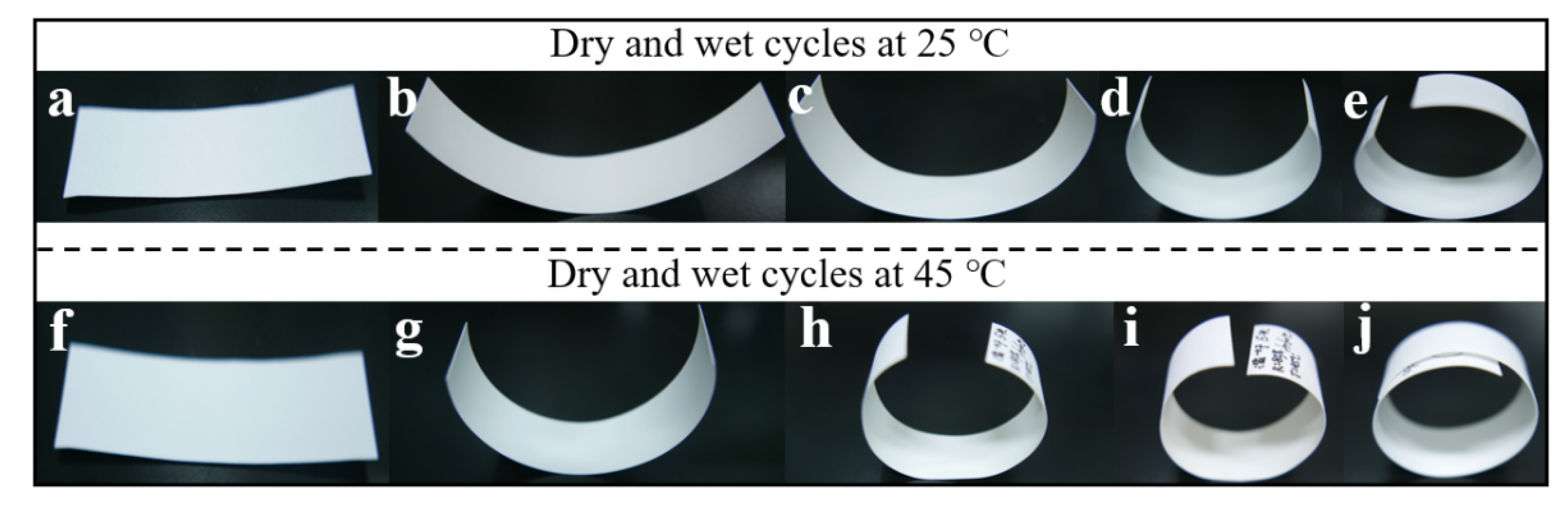 Polymers 13 03894 g003