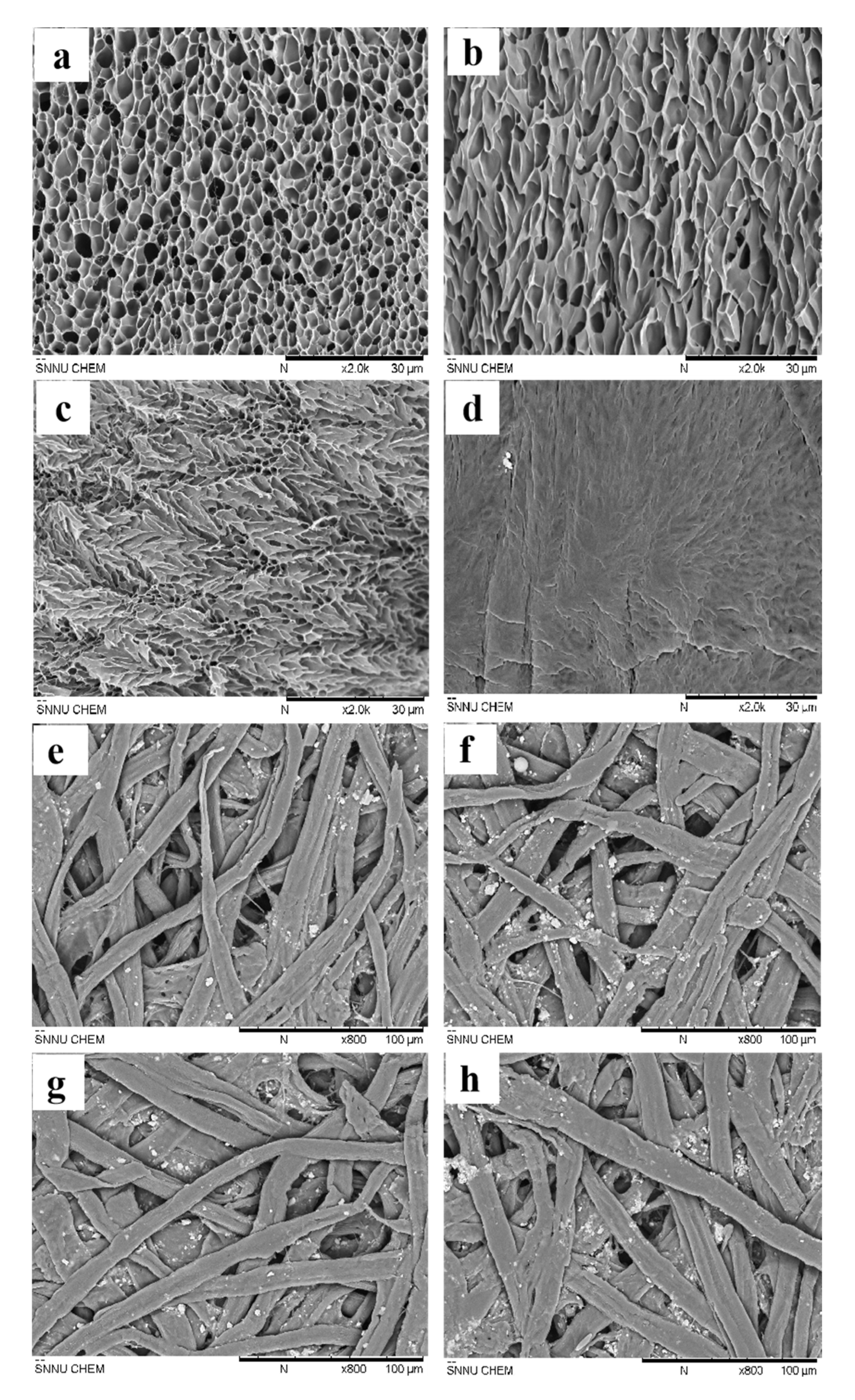 Polymers 13 03894 g006