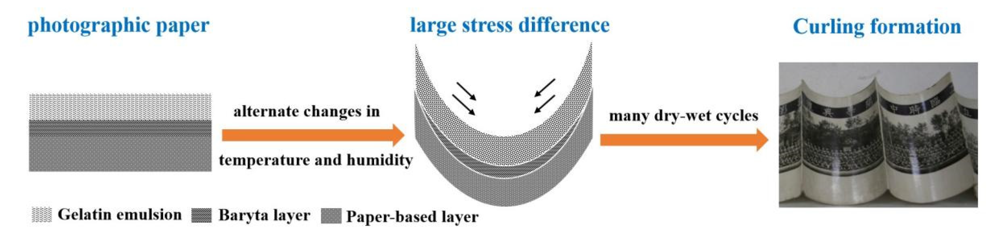 Polymers 13 03894 g007