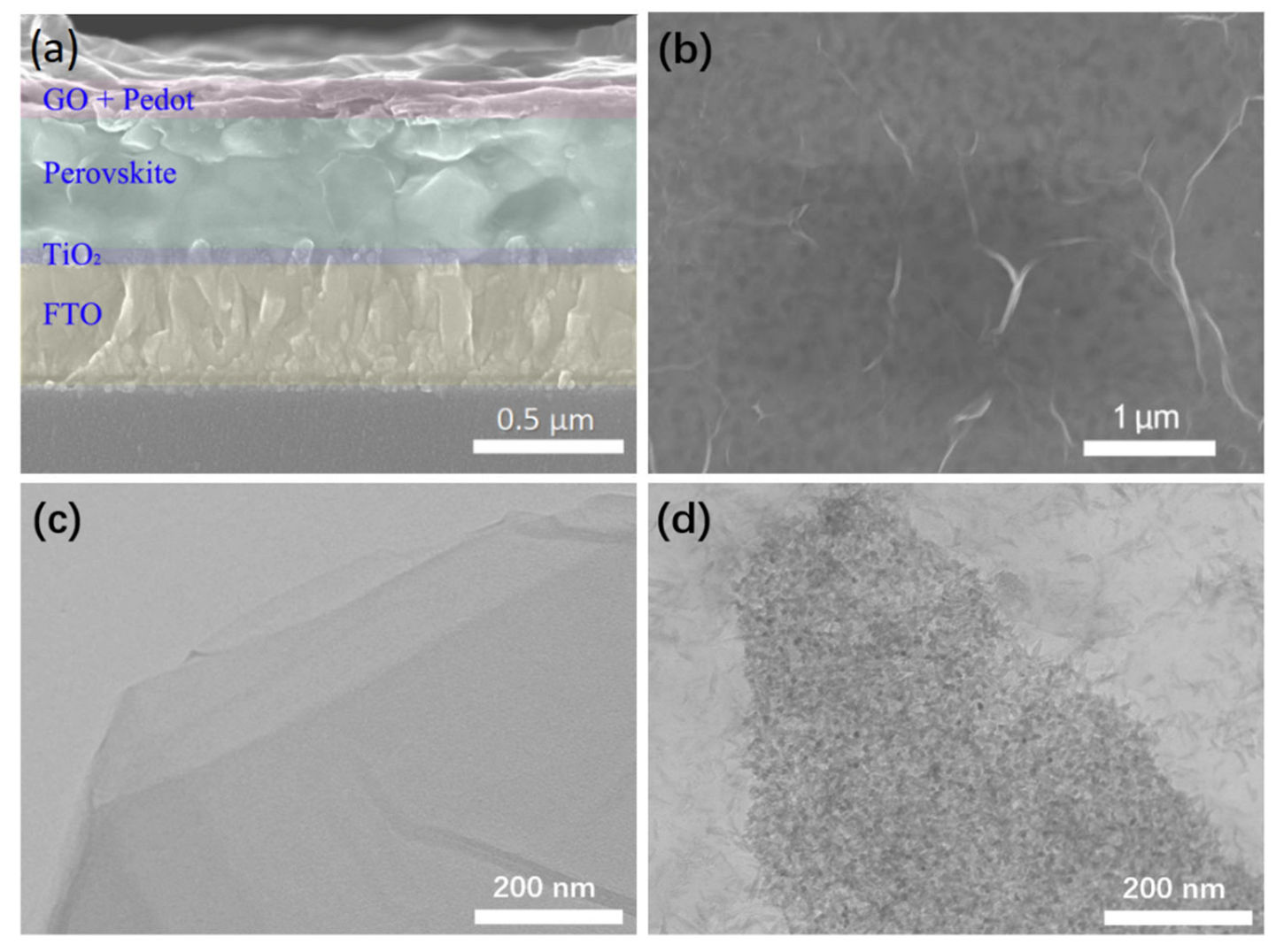 Polymers 13 03895 g002