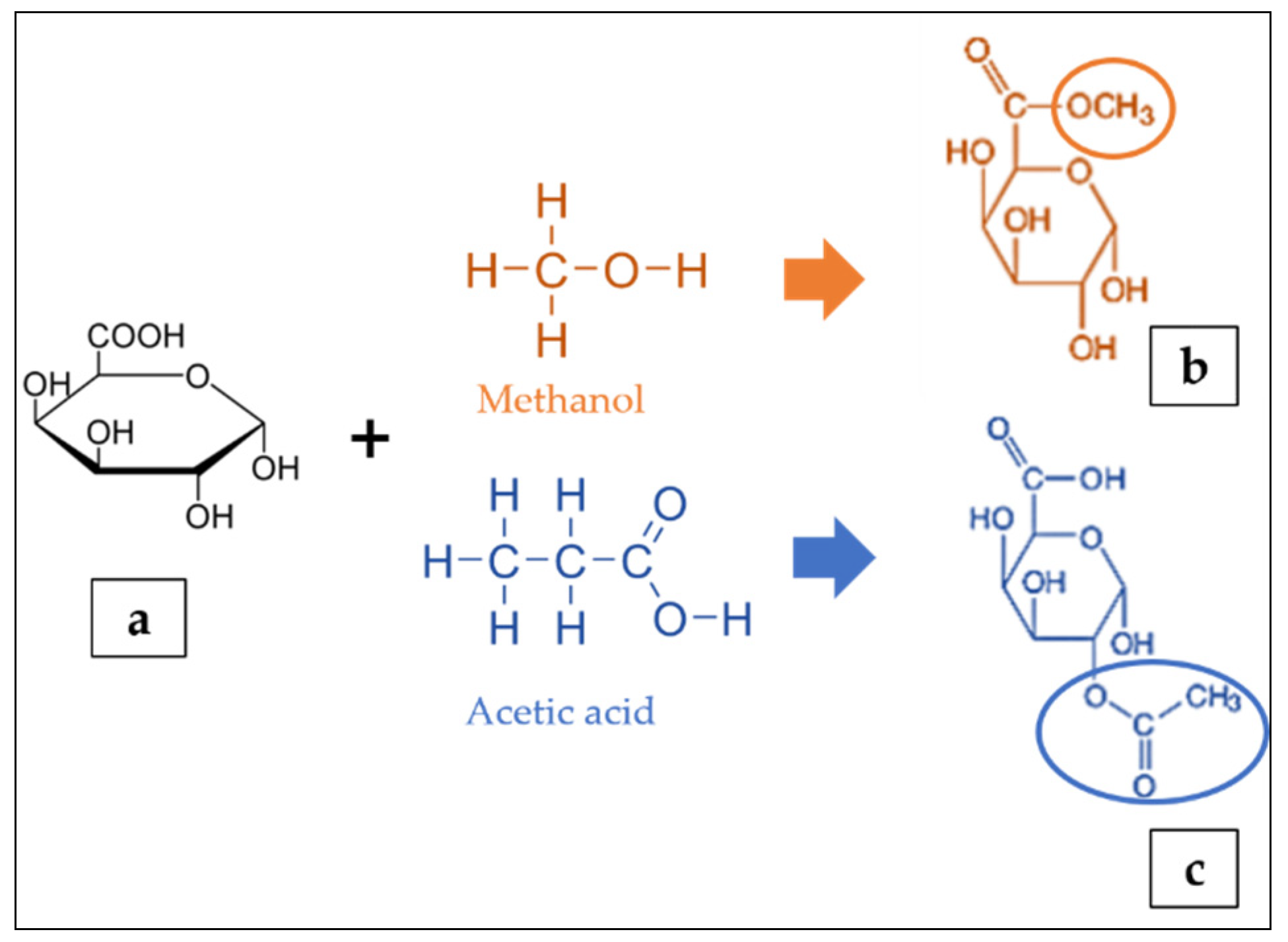 Polymers 13 03898 g002